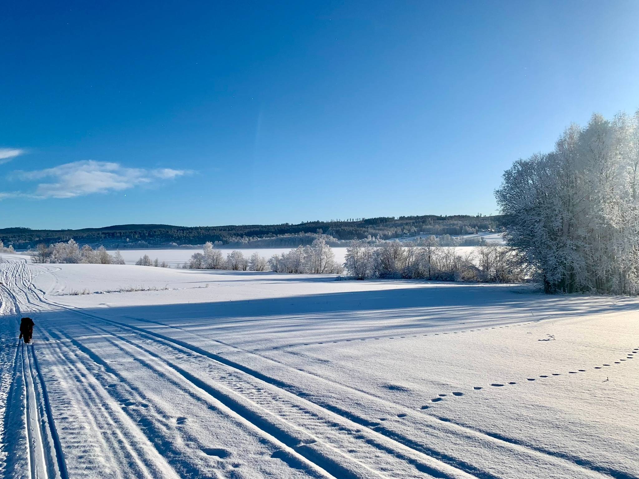6 rum Gård/skog på Fränstavägen 211 Fränsta Ånge kommun - bild 85