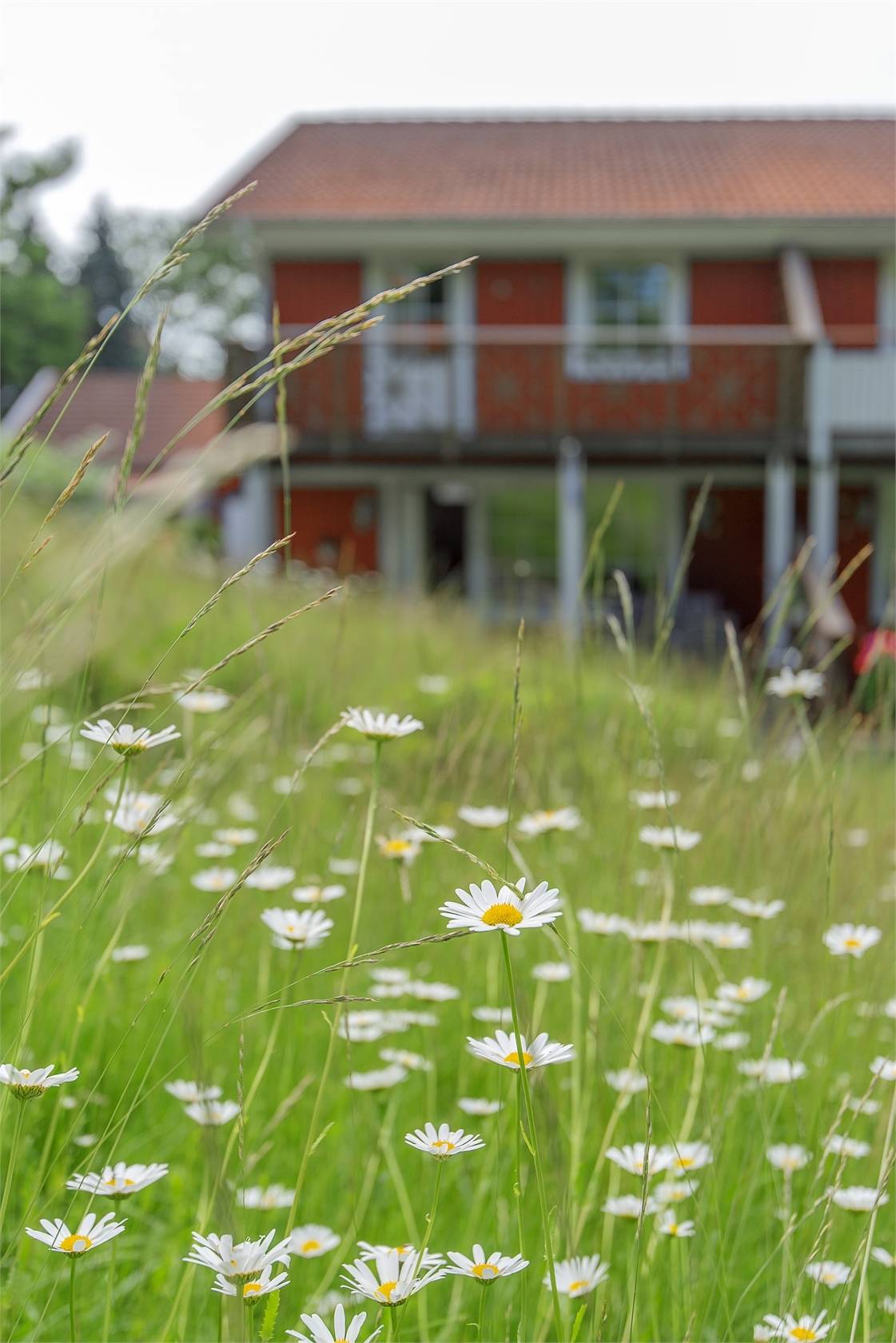 4 rum Parhus på Långtorpsvägen 23B Lindö Norrköpings kommun - bild 26