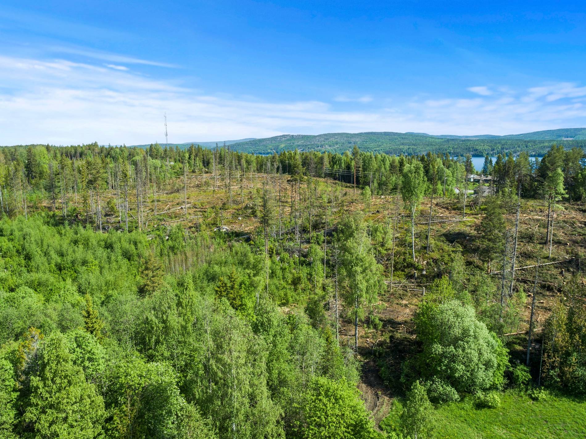 5 rum Gård med skogsbruk på Matildasvägen 9 Frånö Kramfors kommun - bild 44