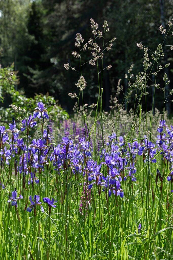 1 rum Fritidshus på Morberget Morbergsvägen 38 Morberget Ludvika kommun - bild 4