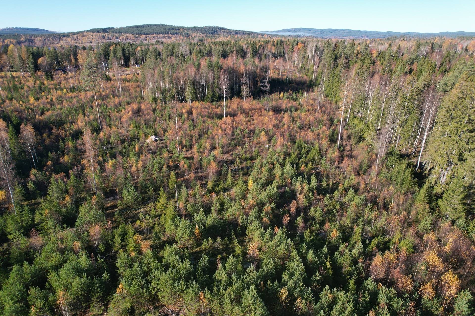 Gård med skogsbruk på Utanmyra Falu kommun - bild 33