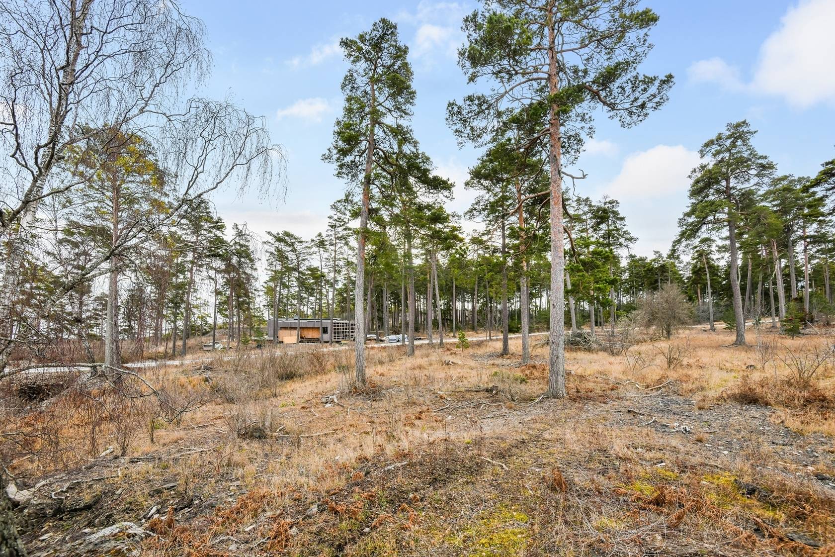 Tomt på Höga land 4 Norra Gotland Gotlands kommun - bild 13