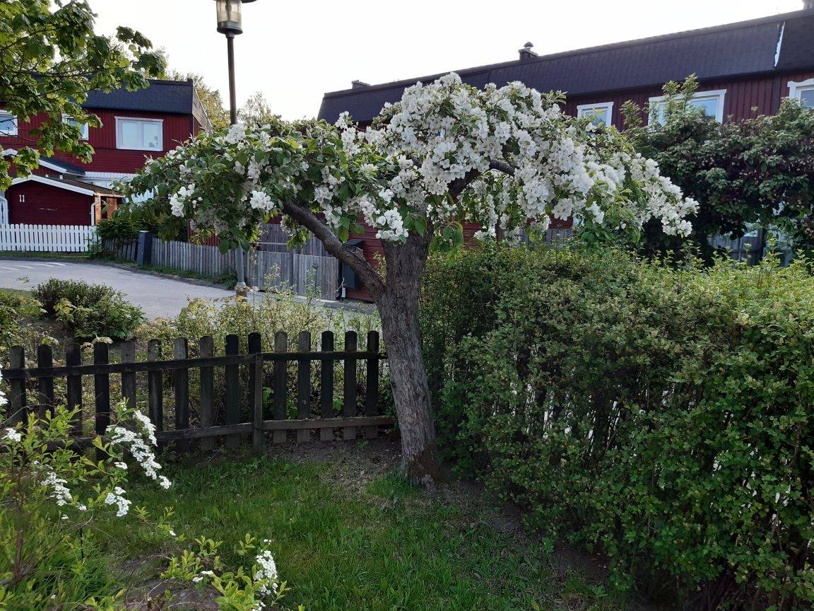6 rum Radhus på Bofinkstigen 50 Salem Salems kommun - bild 22