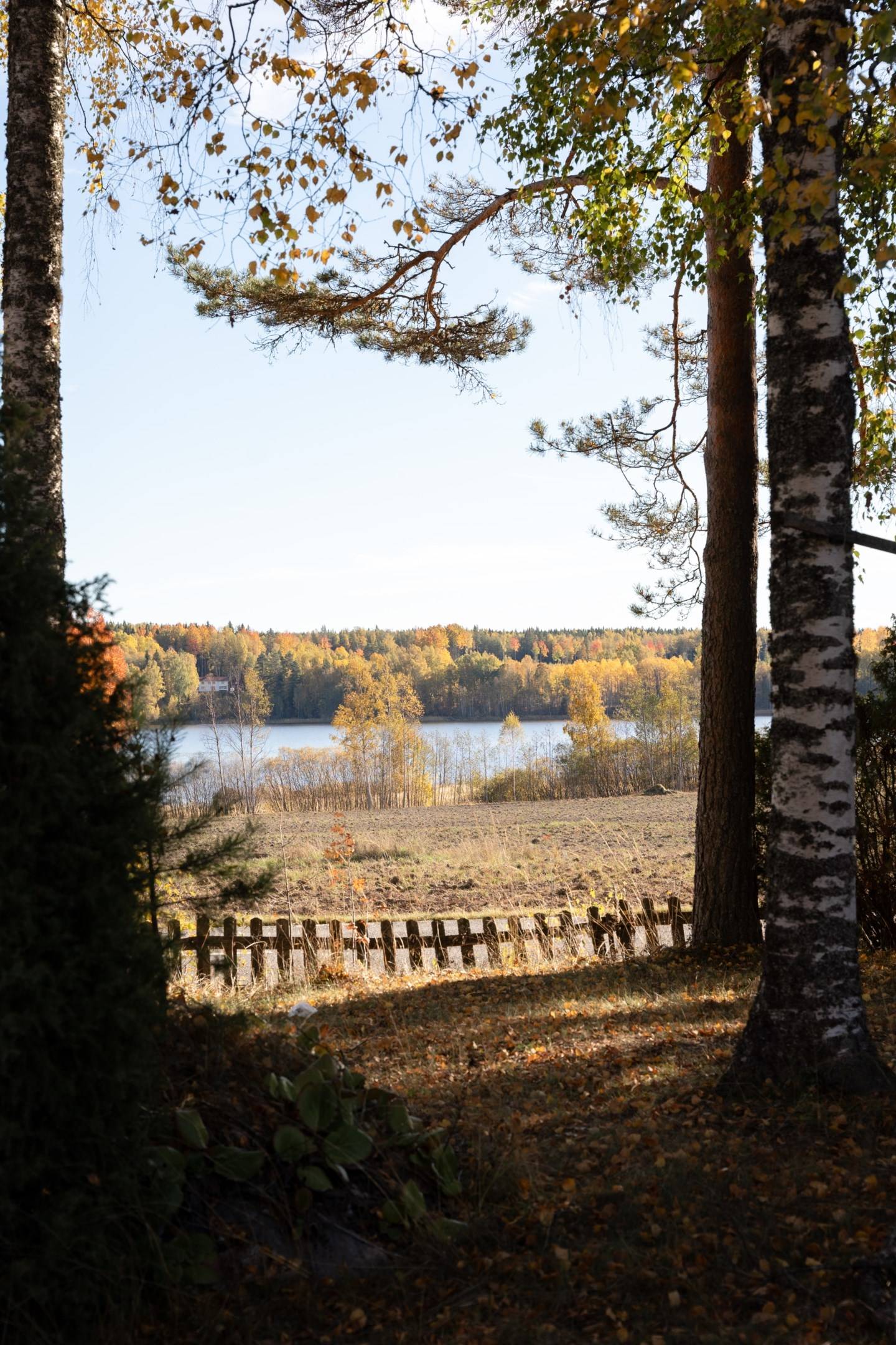 2 rum Fritidshus på Norra Långsvansvägen 1 Färna Skinnskattebergs kommun - bild 27