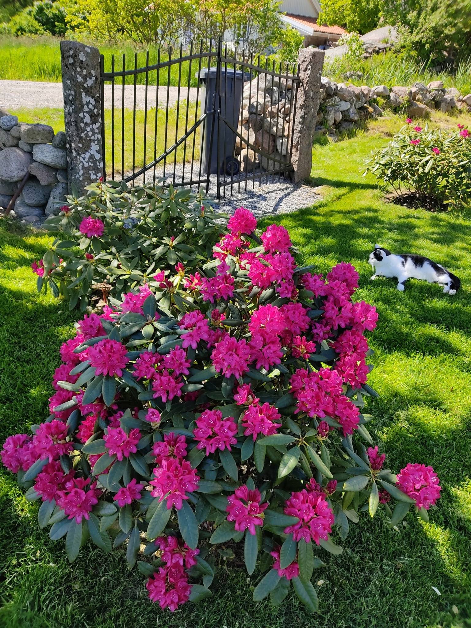 5 rum Villa på Övertun 4 Hamburgsund Tanums kommun - bild 44