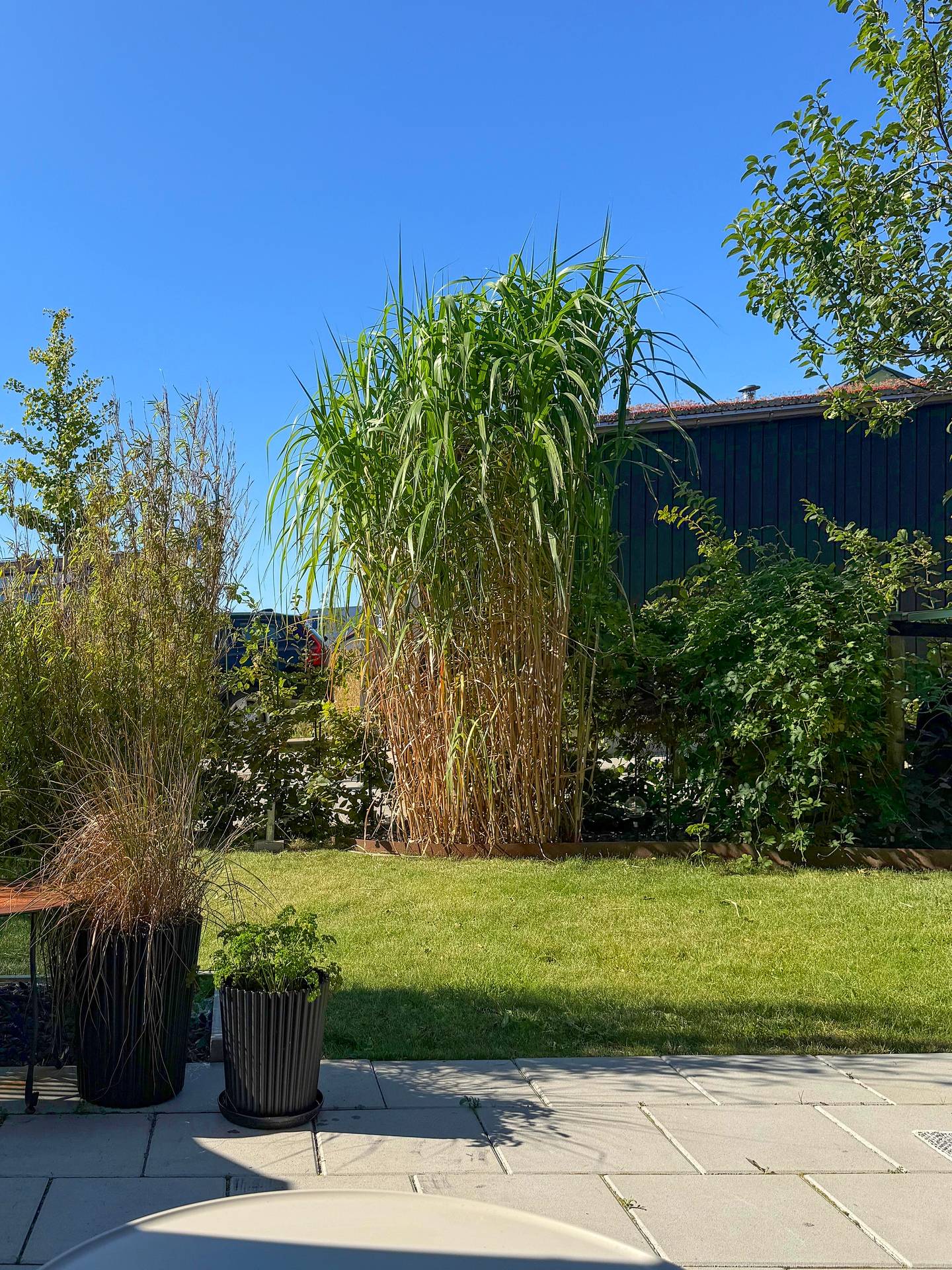 3 rum Lägenhet på Forskargatan 5A Höganäs Höganäs kommun - bild 30