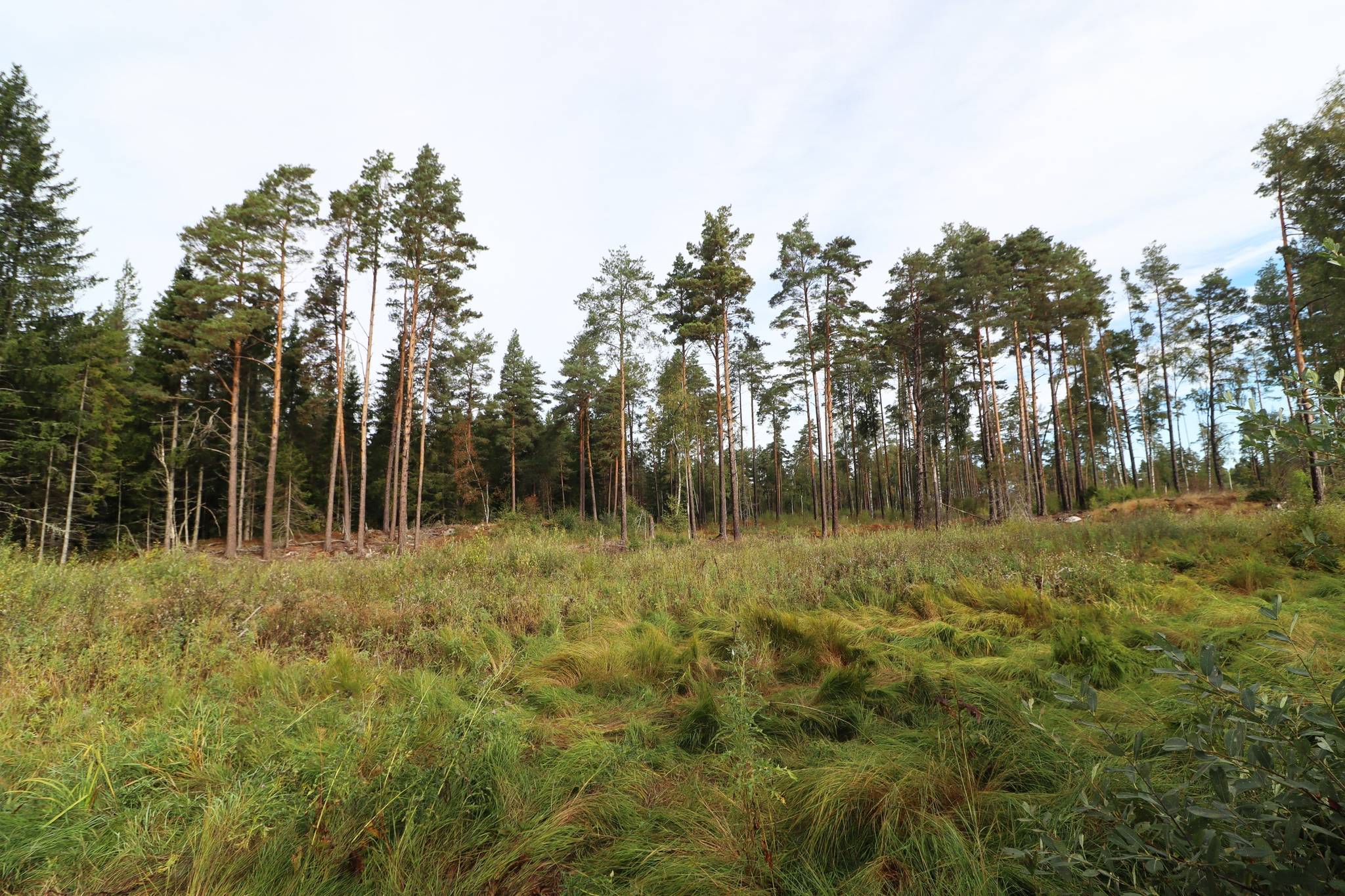 2 rum Gård/skog på Haglundavägen 17 Gottröra - Haglunda Norrtälje kommun - bild 12