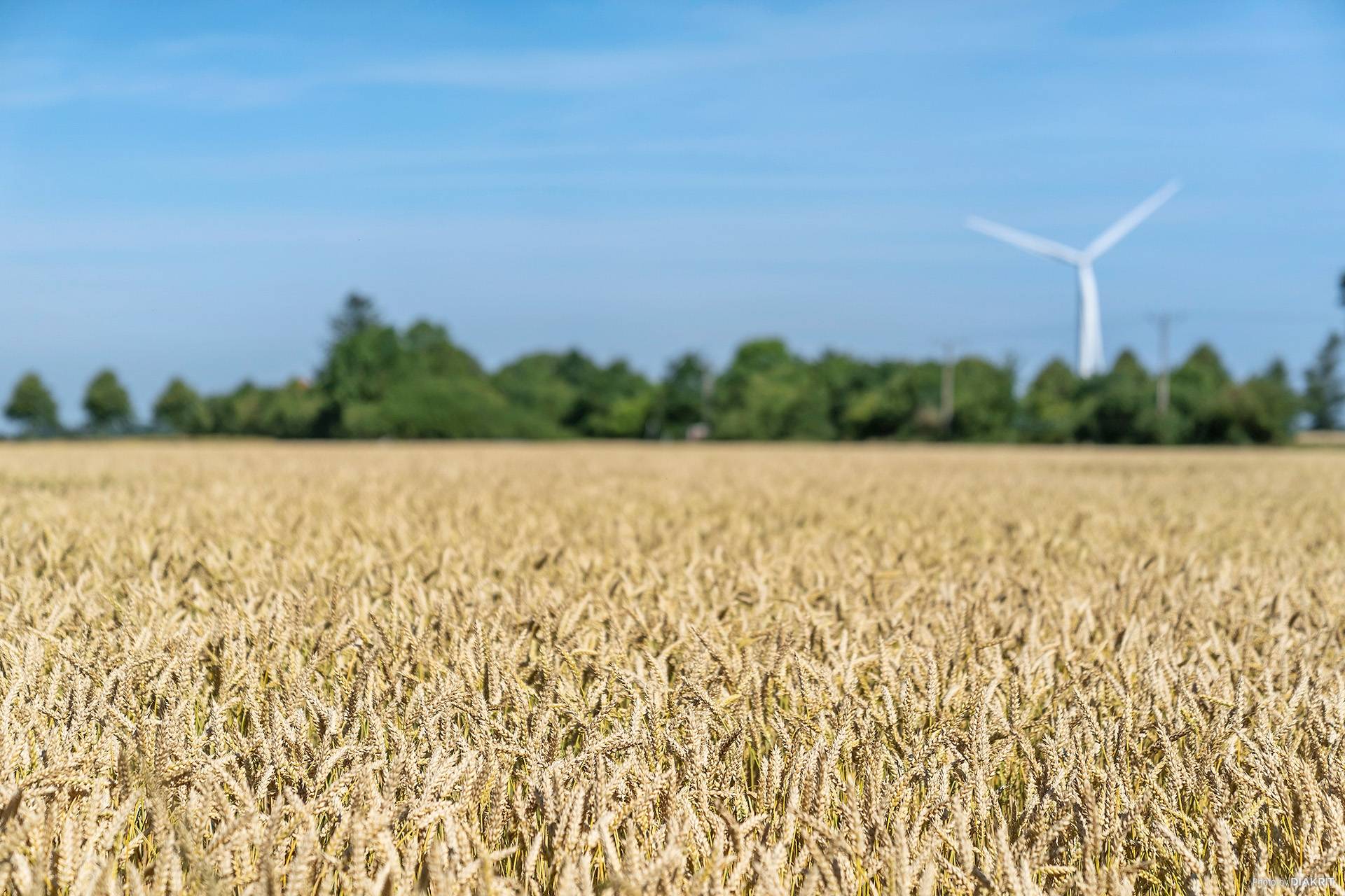 3 rum Radhus på Västraby allé 27B Kattarp Helsingborgs kommun - bild 29