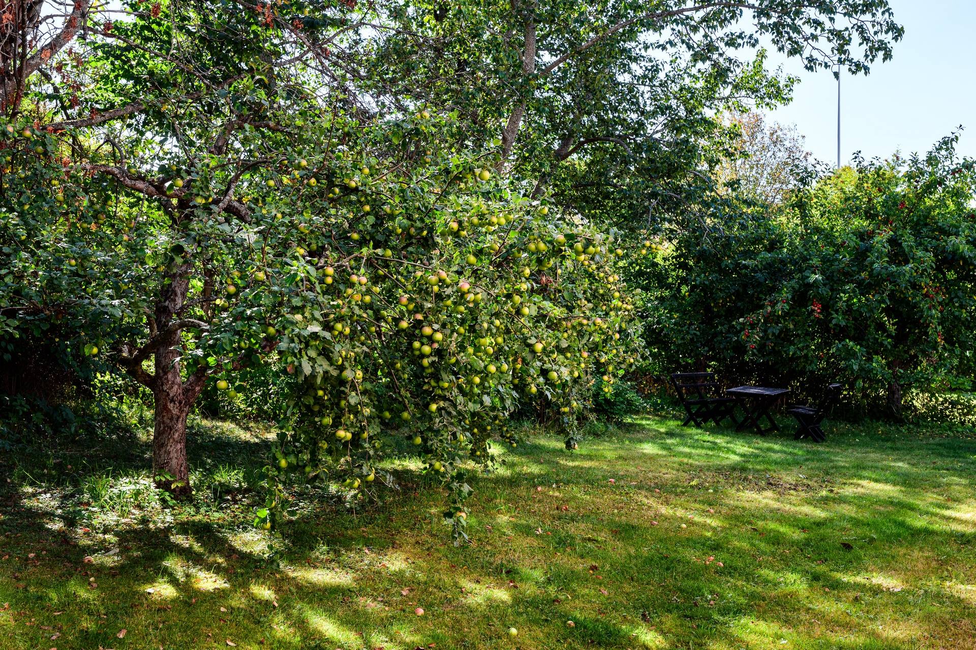 7 rum villa på Stiernhielmsvägen 4 Kyrkbacken, Falu kommun - bild 5