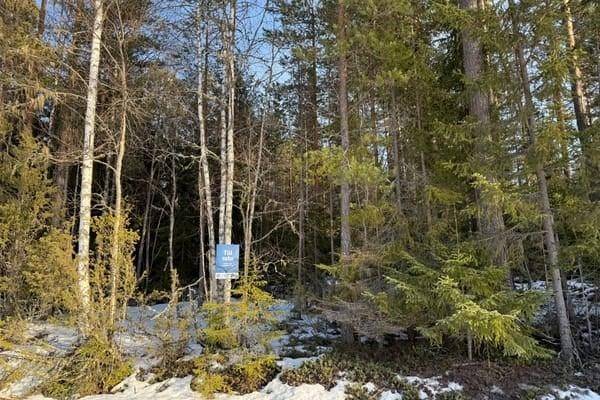 Färnäs, Mora kommun
