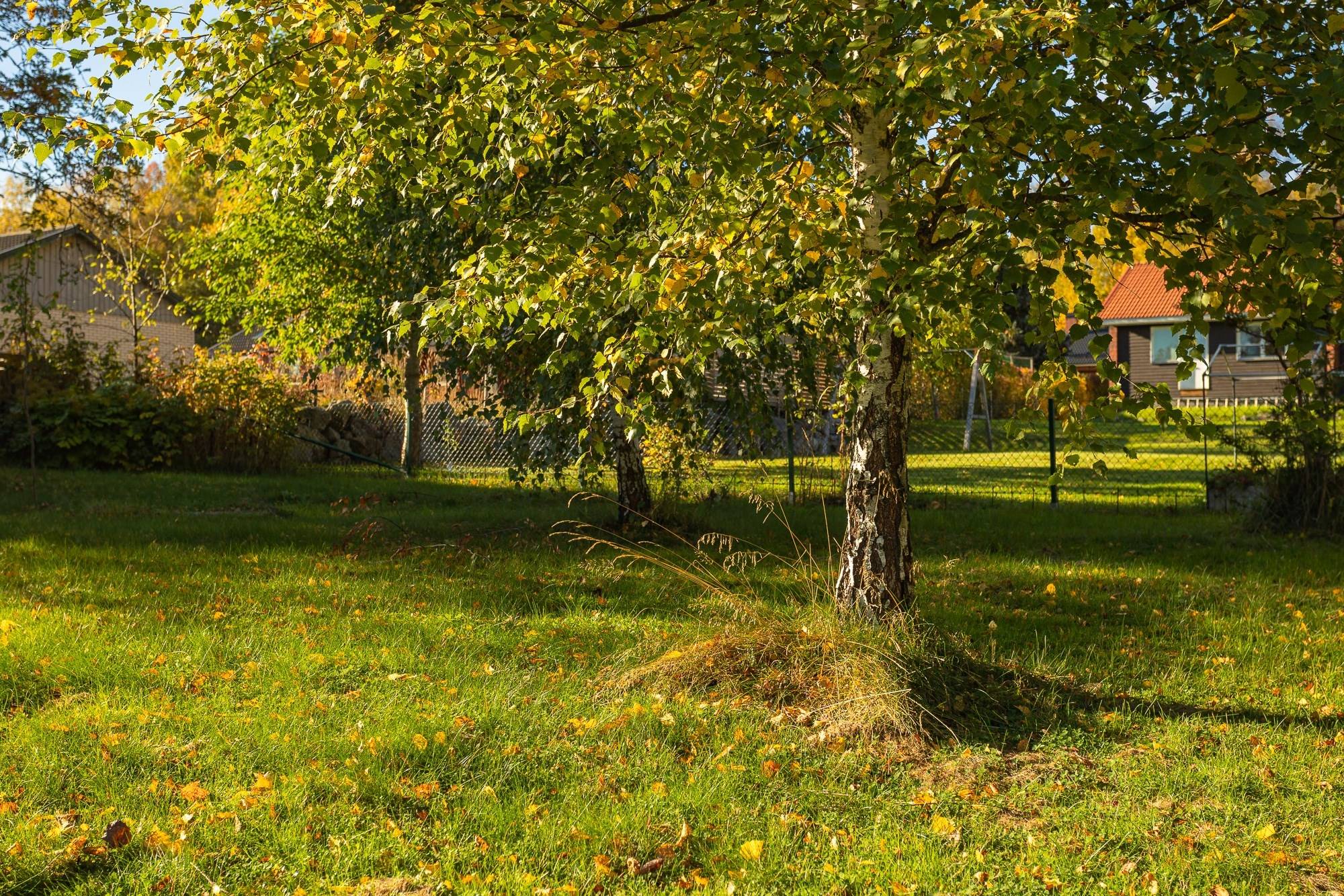 7 rum Villa på Hagvägen 4 Heby Heby kommun - bild 62
