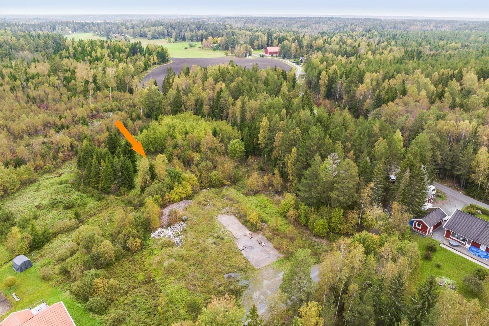 Knivsta, Knivsta kommun