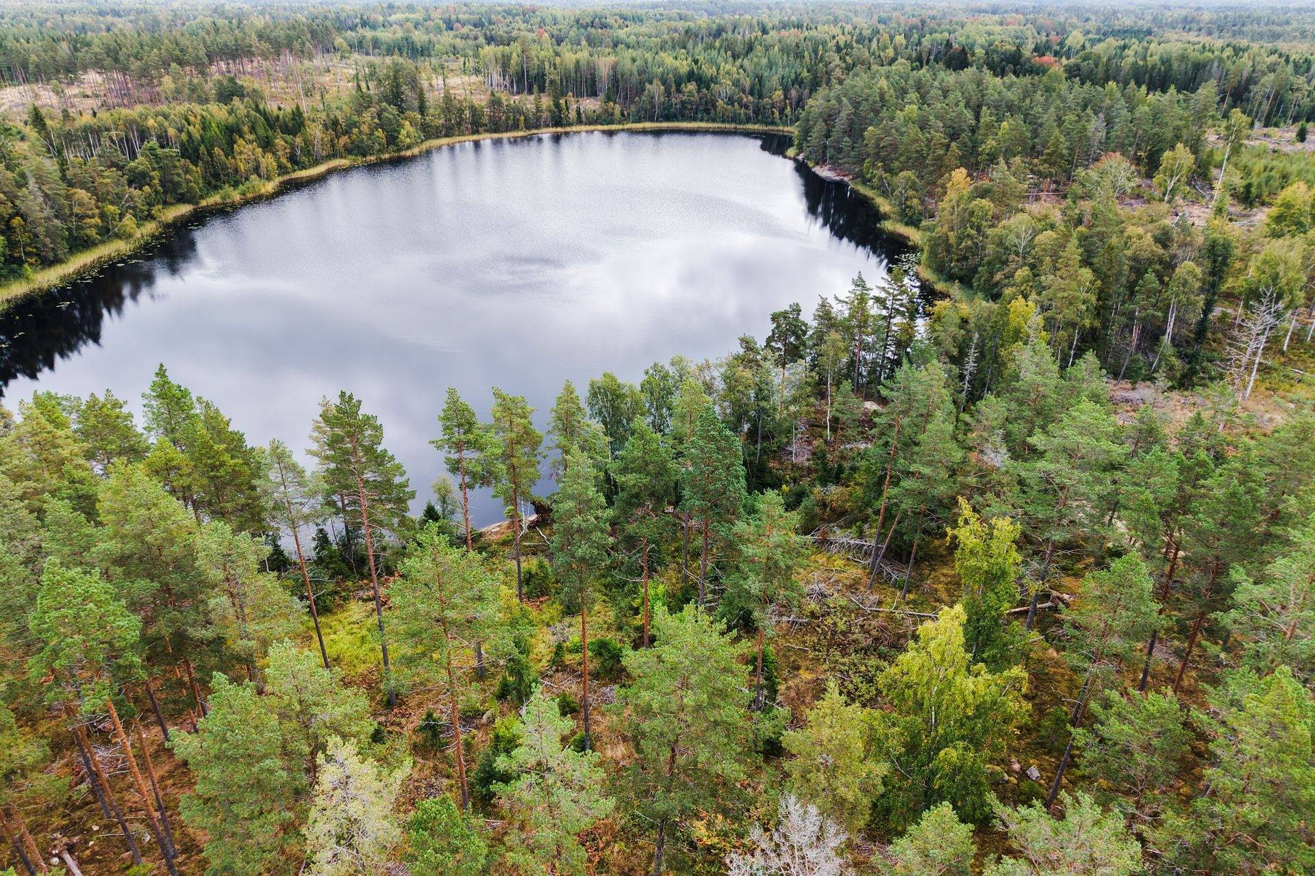 Gård med skogsbruk på Norrtälje Bro 4:8 & 8:1 Norrtälje kommun - bild 16