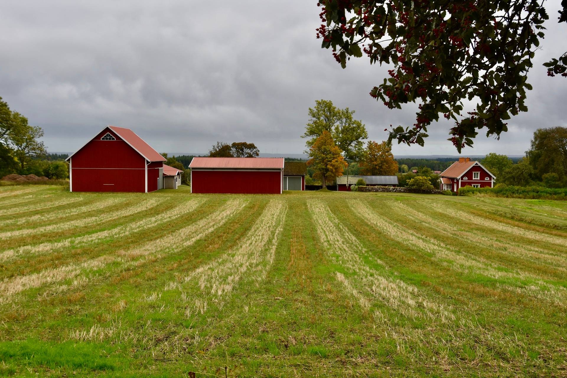 Borgunda, Falköpings kommun