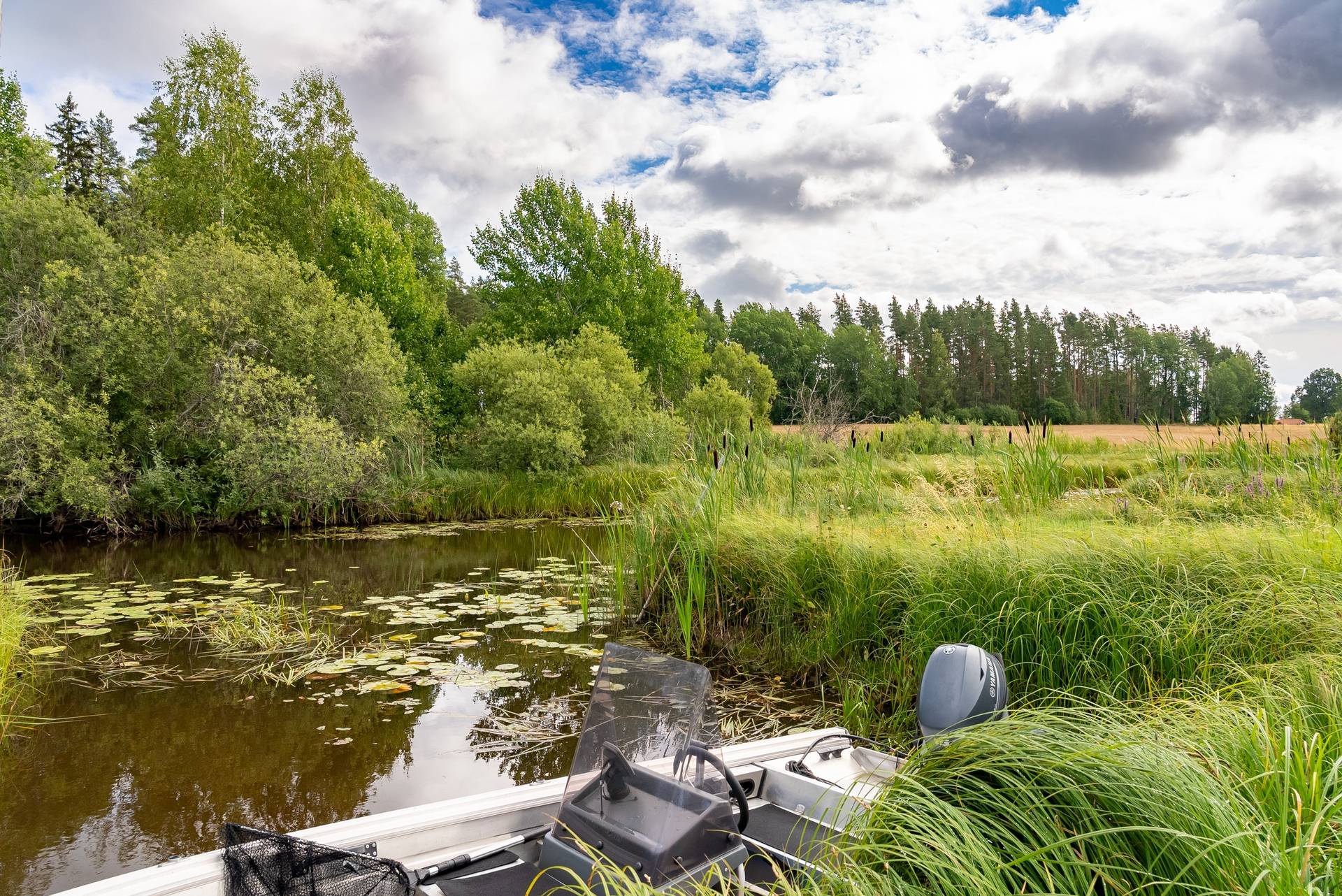 Gård med skogsbruk på Erikslund gård Sala kommun - bild 32