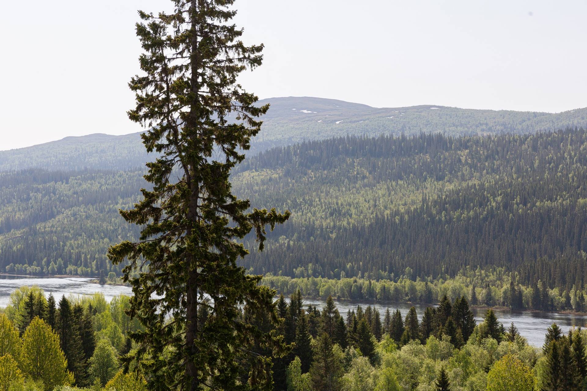 4 rum Lägenhet på Bäcksidevägen 9B Åre Åre kommun - bild 5