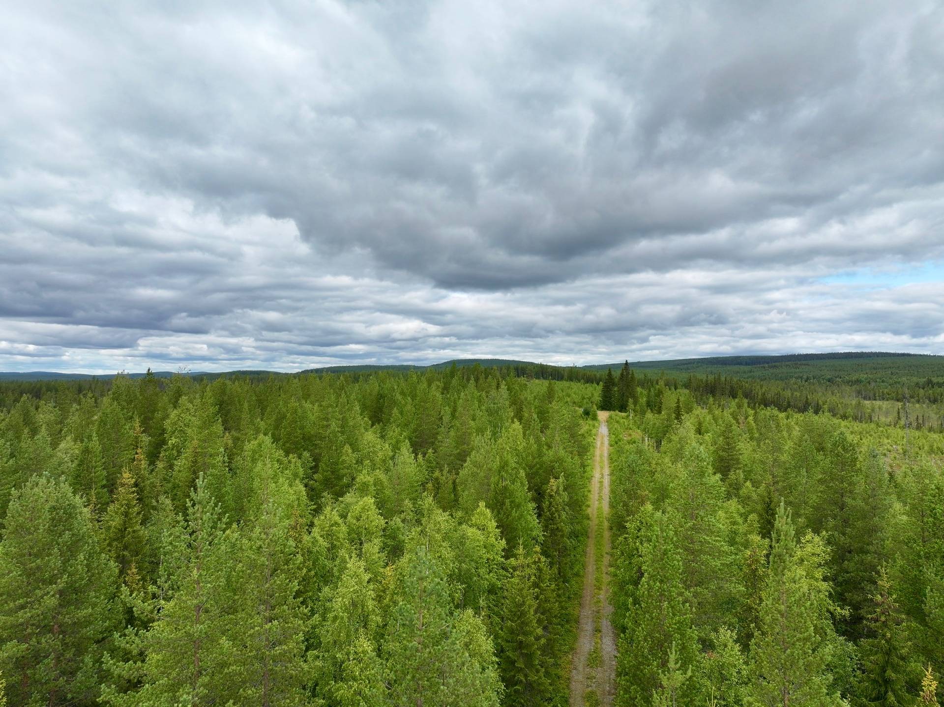 Gård/skog på Björksele 1:44 Lycksele kommun - bild 4