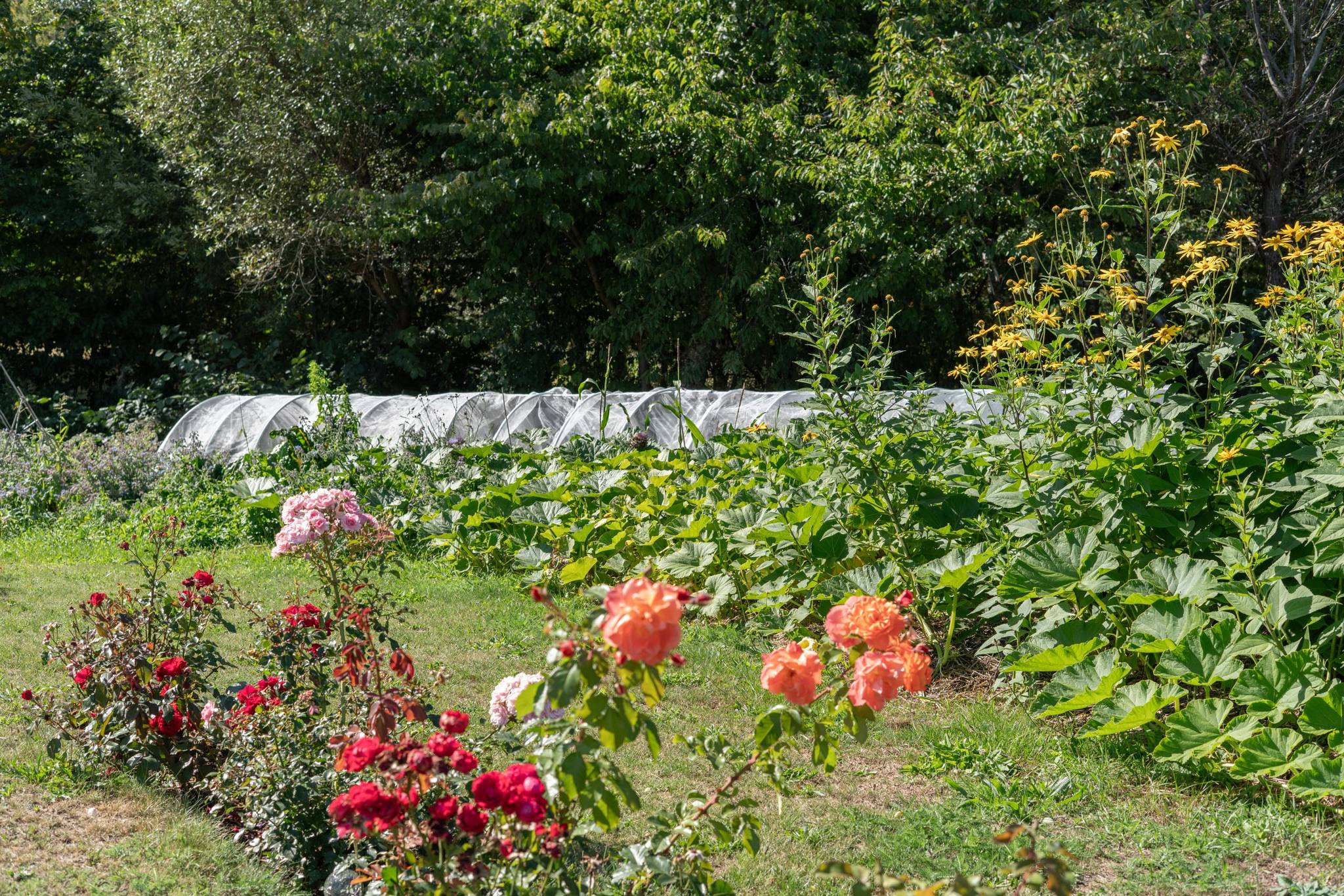 150 m² Villa på Bassakullsvägen 38 Baskemölla Simrishamns kommun - bild 41