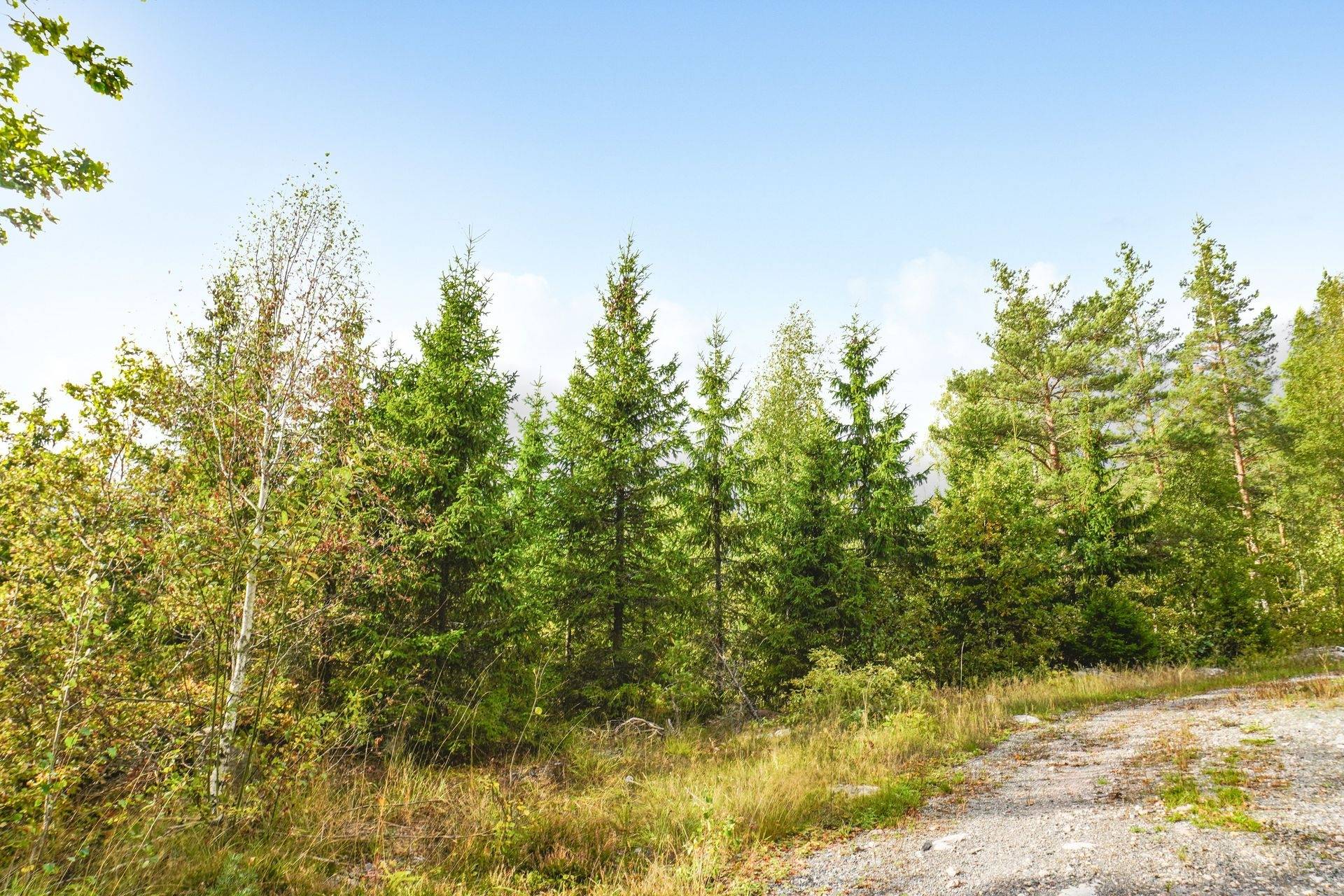 Gård med skogsbruk på NORRTÄLJE SÖDERMARJUM 2:2 Norrtälje kommun - bild 13