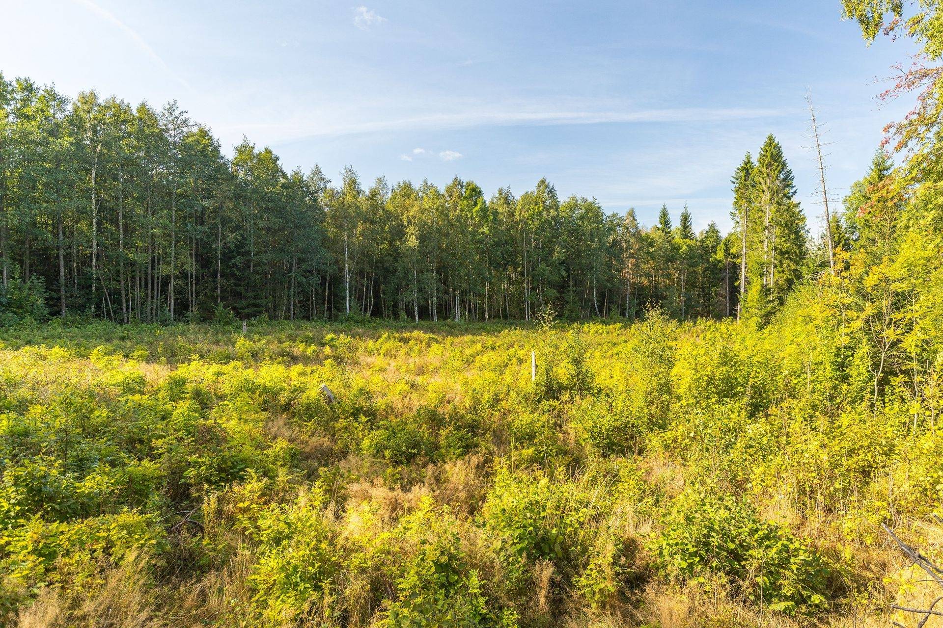 Gård/skog på 23,5 ha på Vaberget, Karlsborg Karlsborgs kommun - bild 10