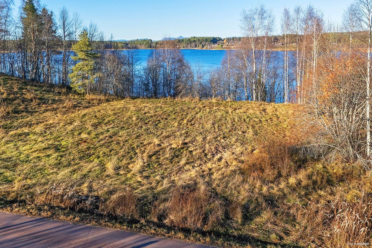 Gård med skogsbruk Älvdalens kommun - bild 5