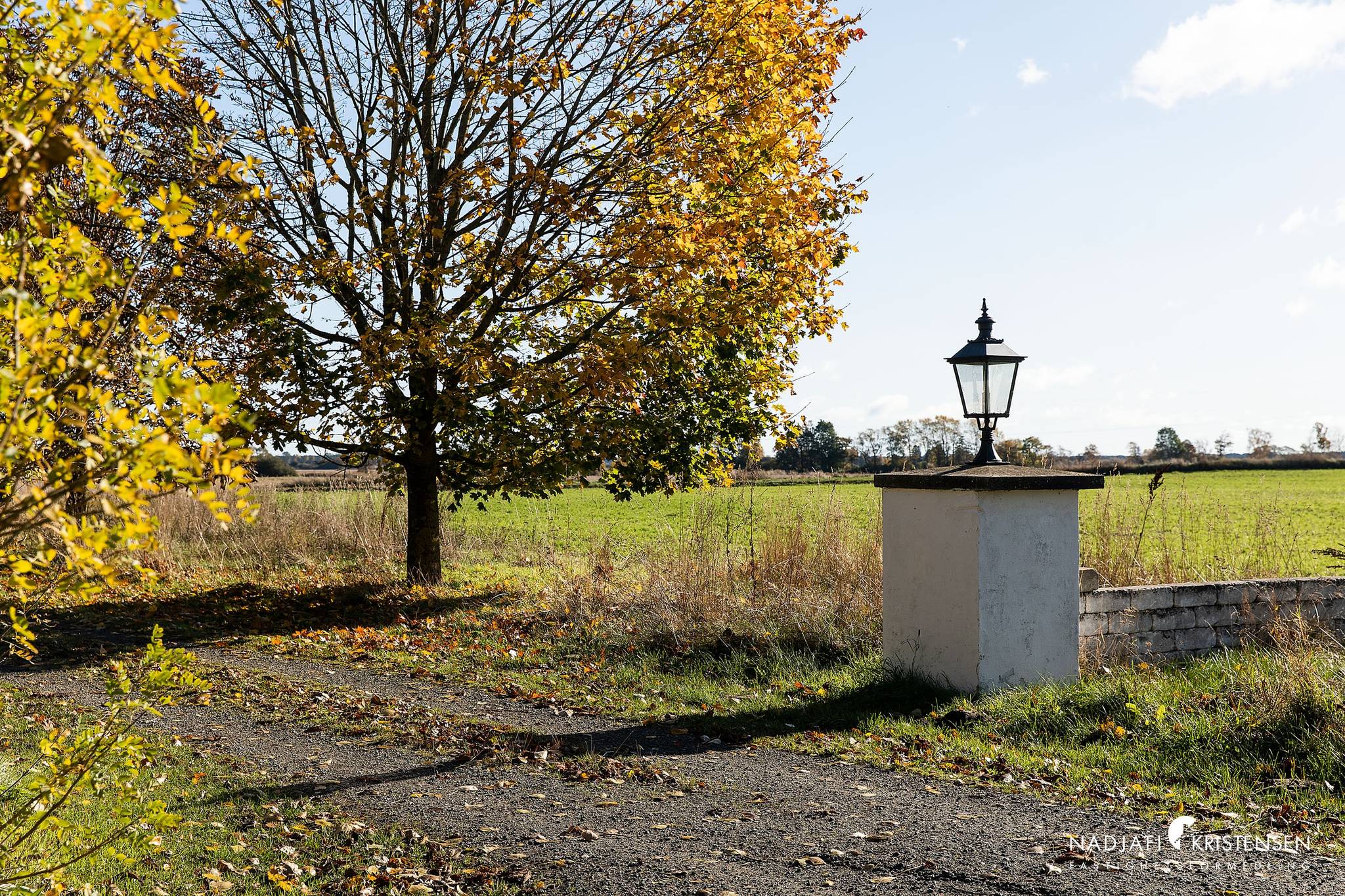 9 rum Gård/skog på Mjöholmsvägen 150 Mjöholm Kristianstads kommun - bild 4