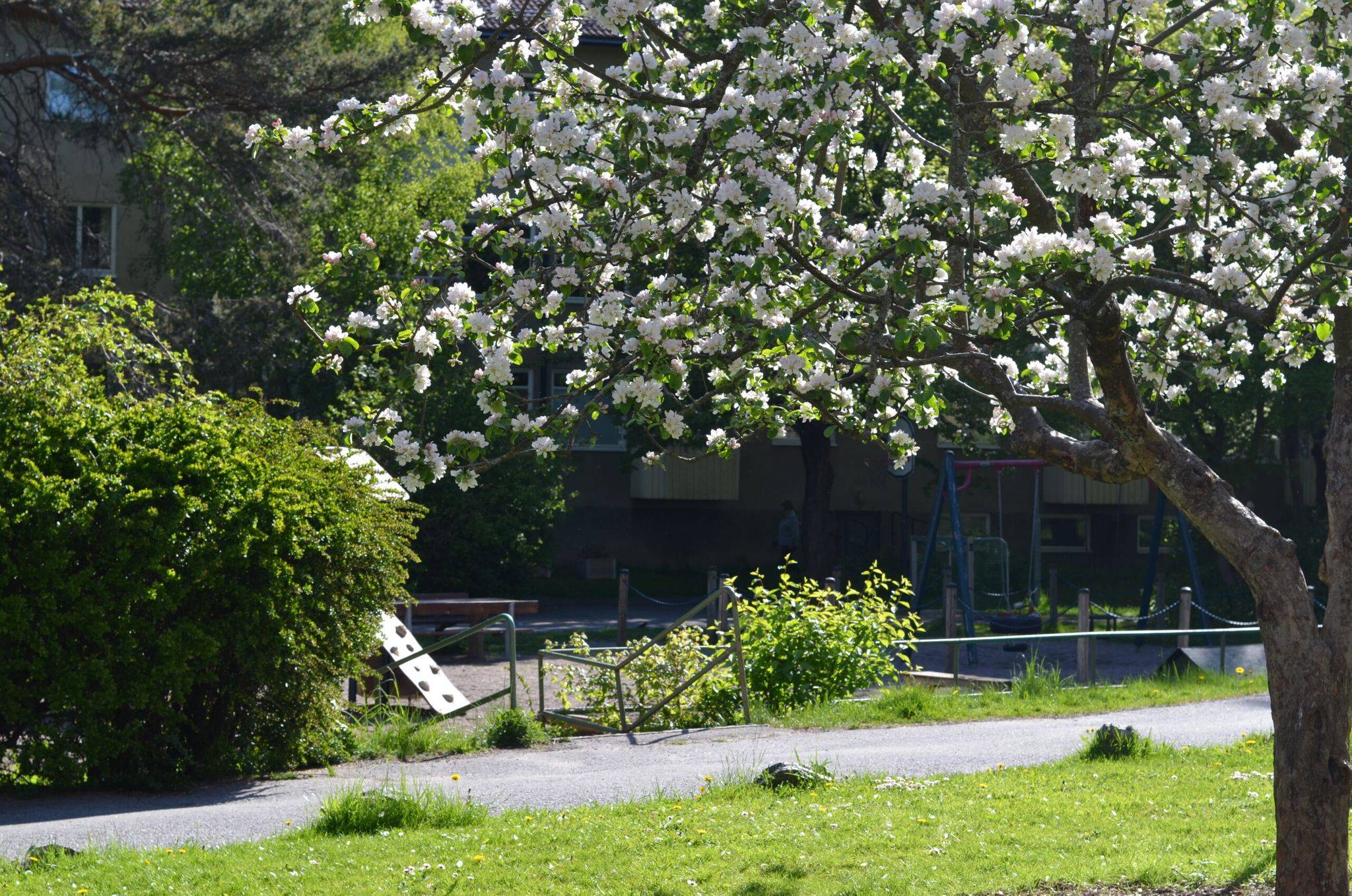 3 rum Lägenhet på Huvudskärsvägen 7 Kärrtorp Stockholms kommun - bild 36