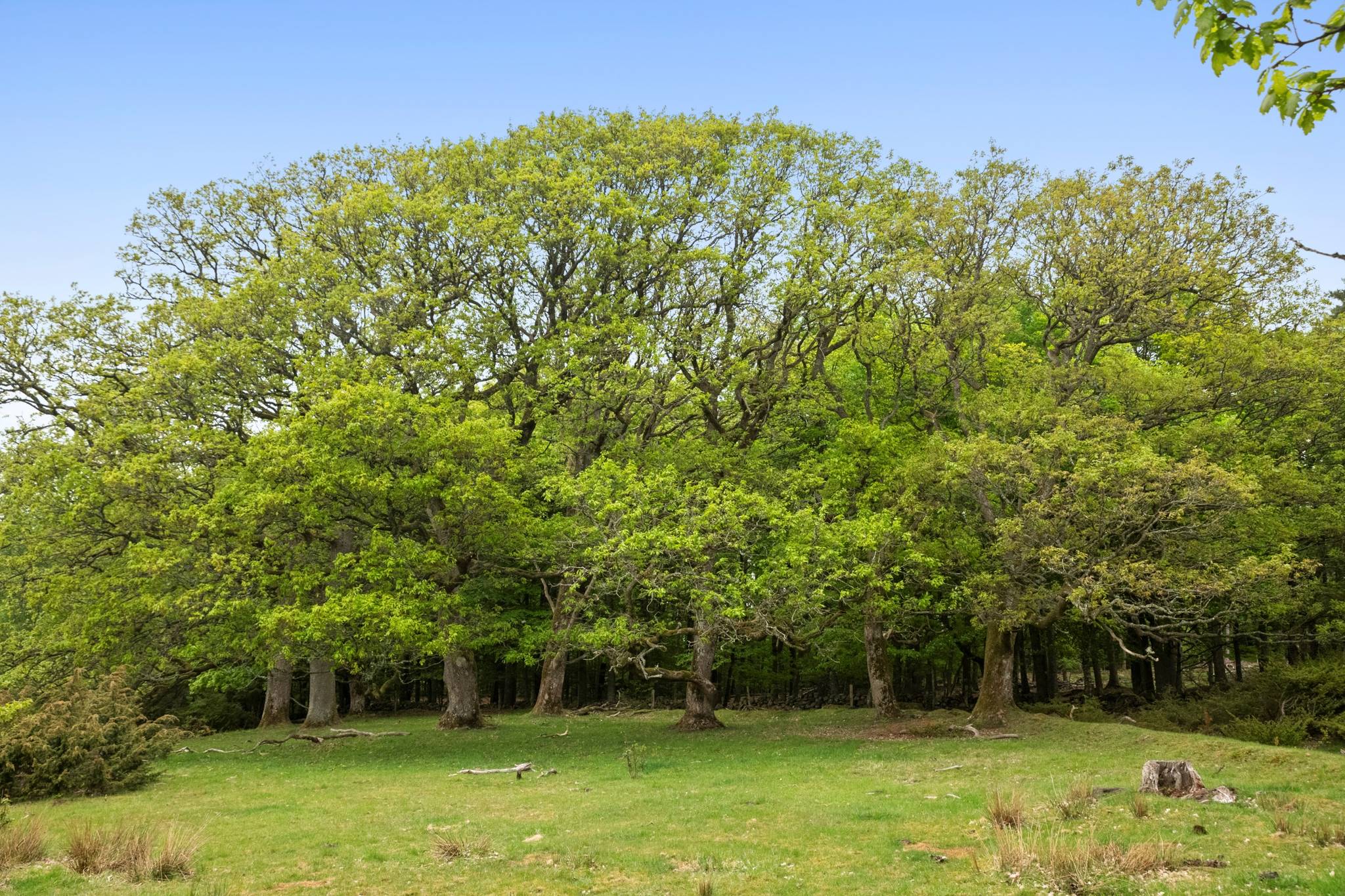 165 m² Gård/skog på Mannarp Bolet 449 Halmstads kommun - bild 45