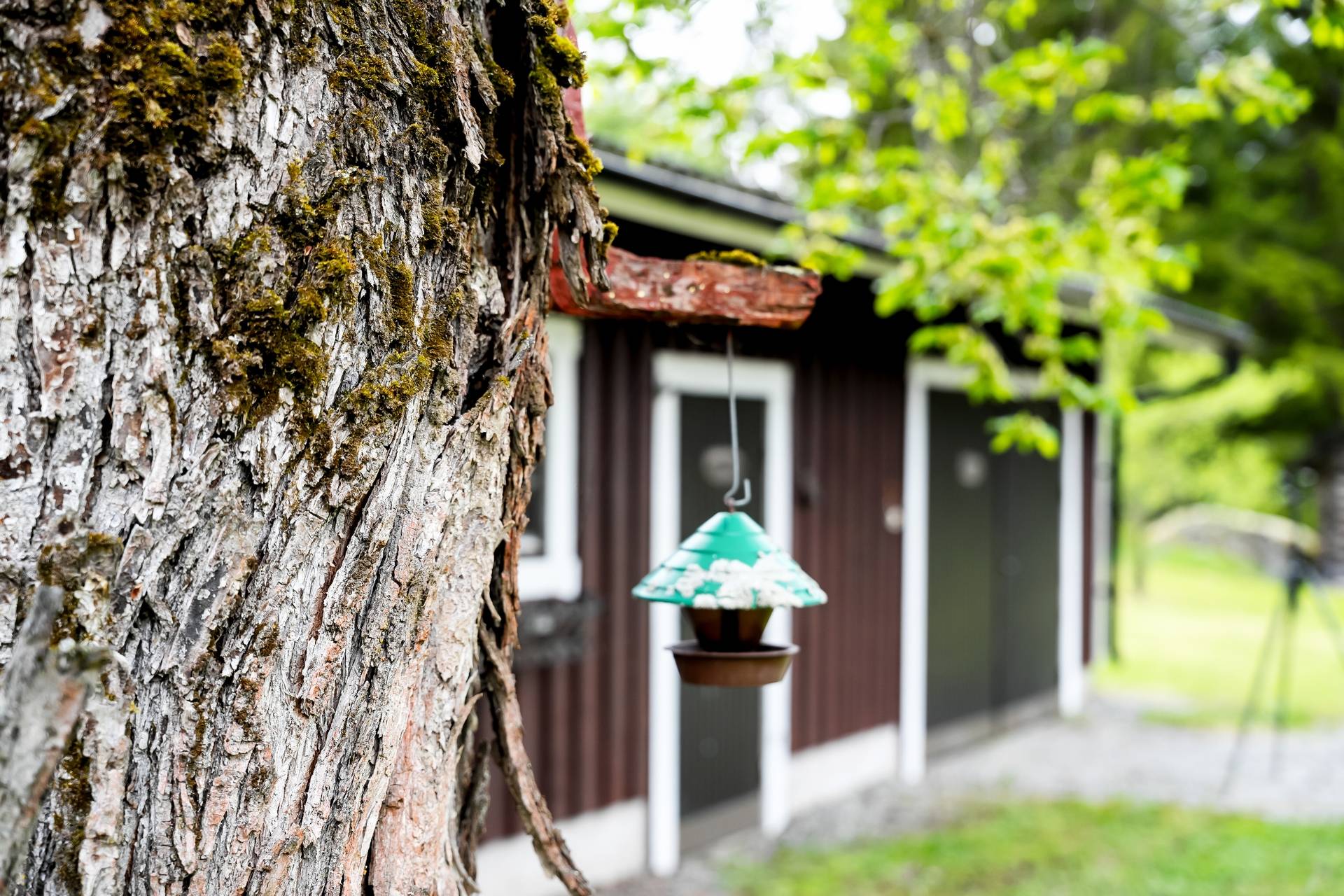 65 m² Villa på Borgsjöbyn 541 Ånge kommun - bild 27