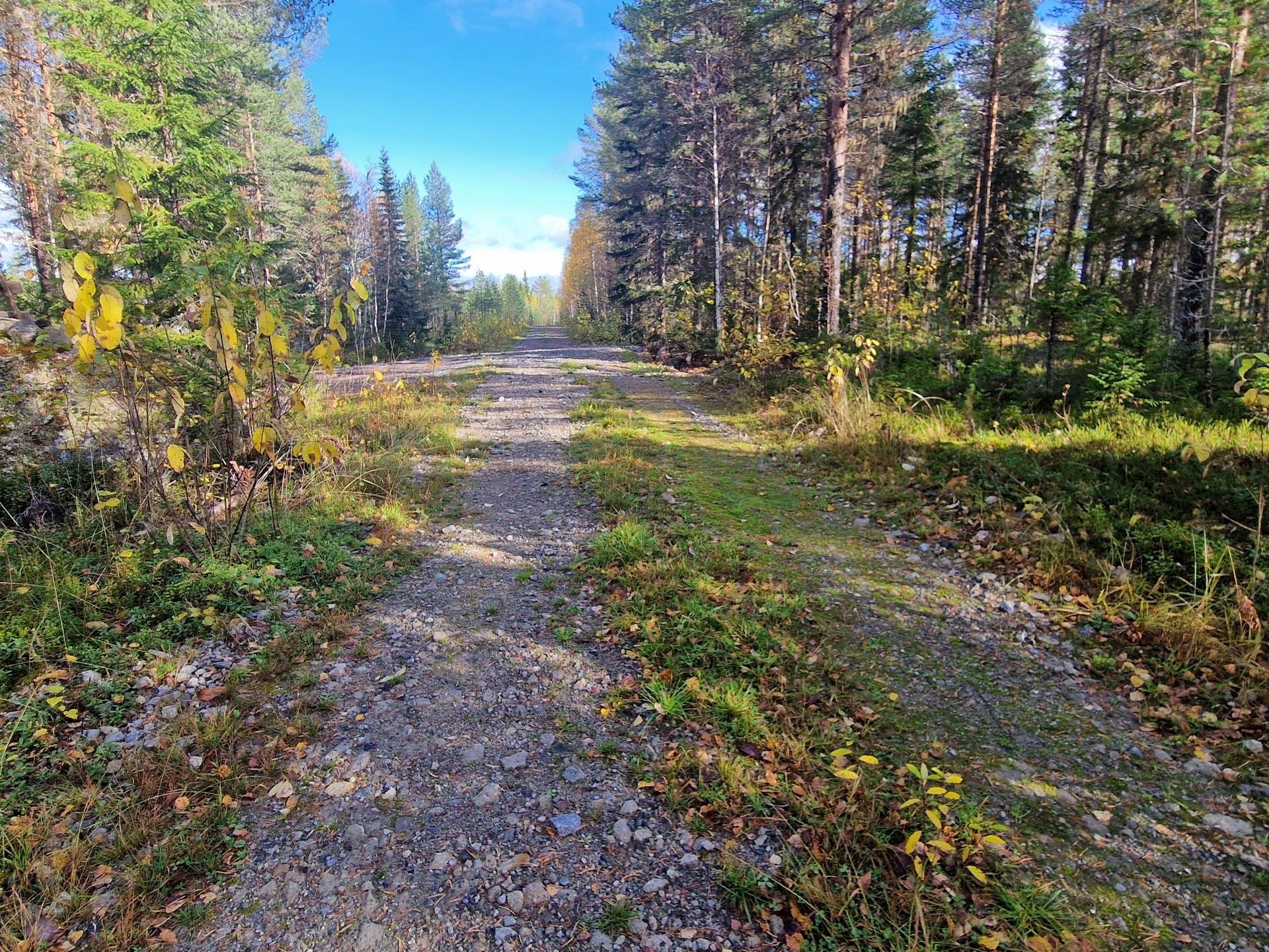 Gård med skogsbruk på ÖSTERSUND KLOCKSÅSEN 2:17 Locknebygden Östersunds kommun - bild 2