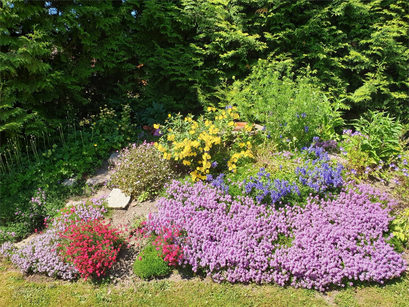 5 rum Villa på Skörstorp Brunnsbo Skörstorp Falköpings kommun - bild 49