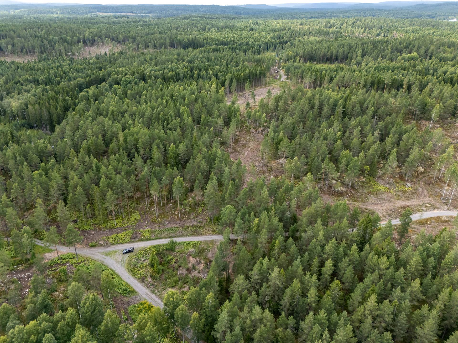 Gård med skogsbruk på Spakebol Åmåls kommun - bild 14