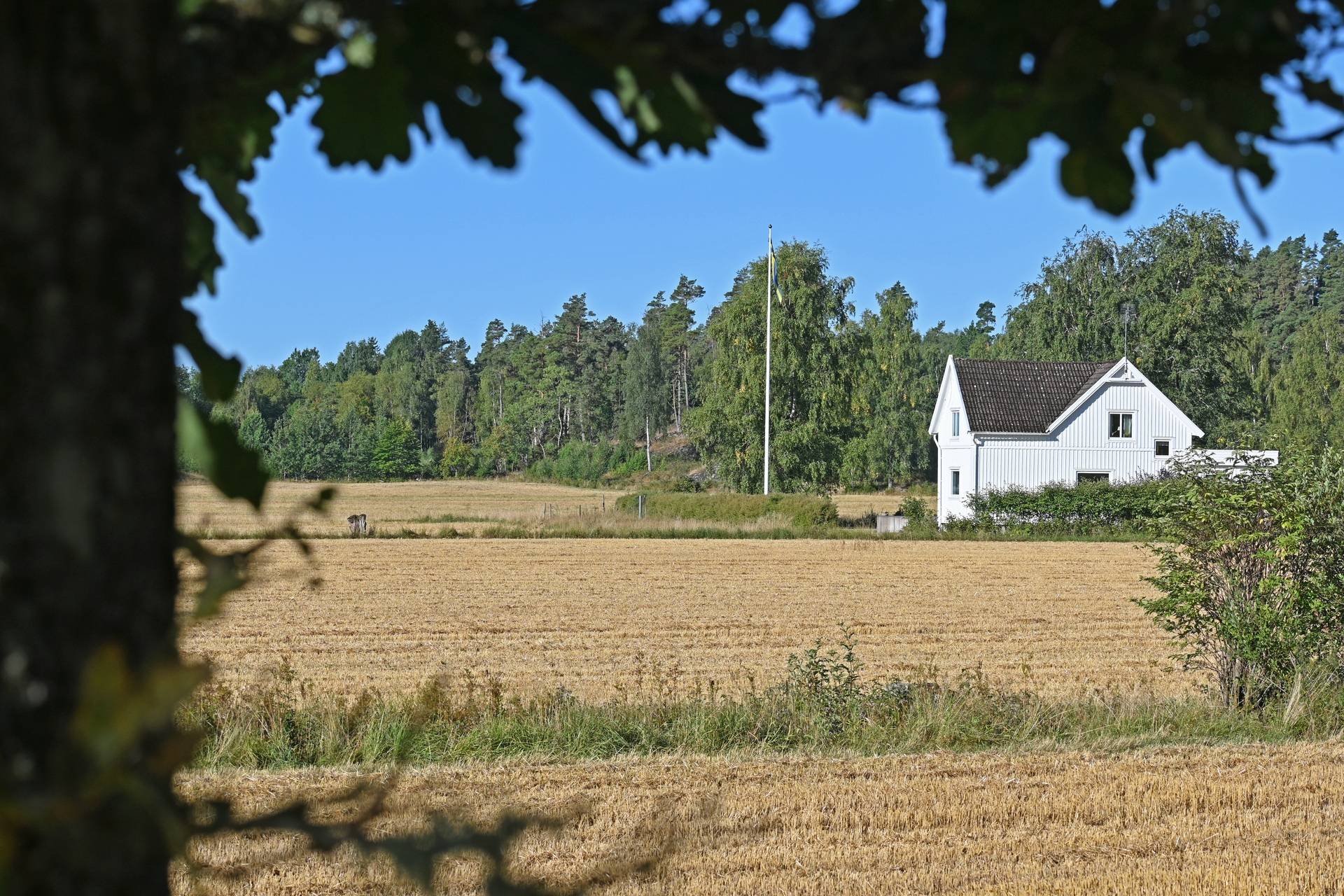 Gård med skogsbruk på Östergården Alingsås kommun - bild 1