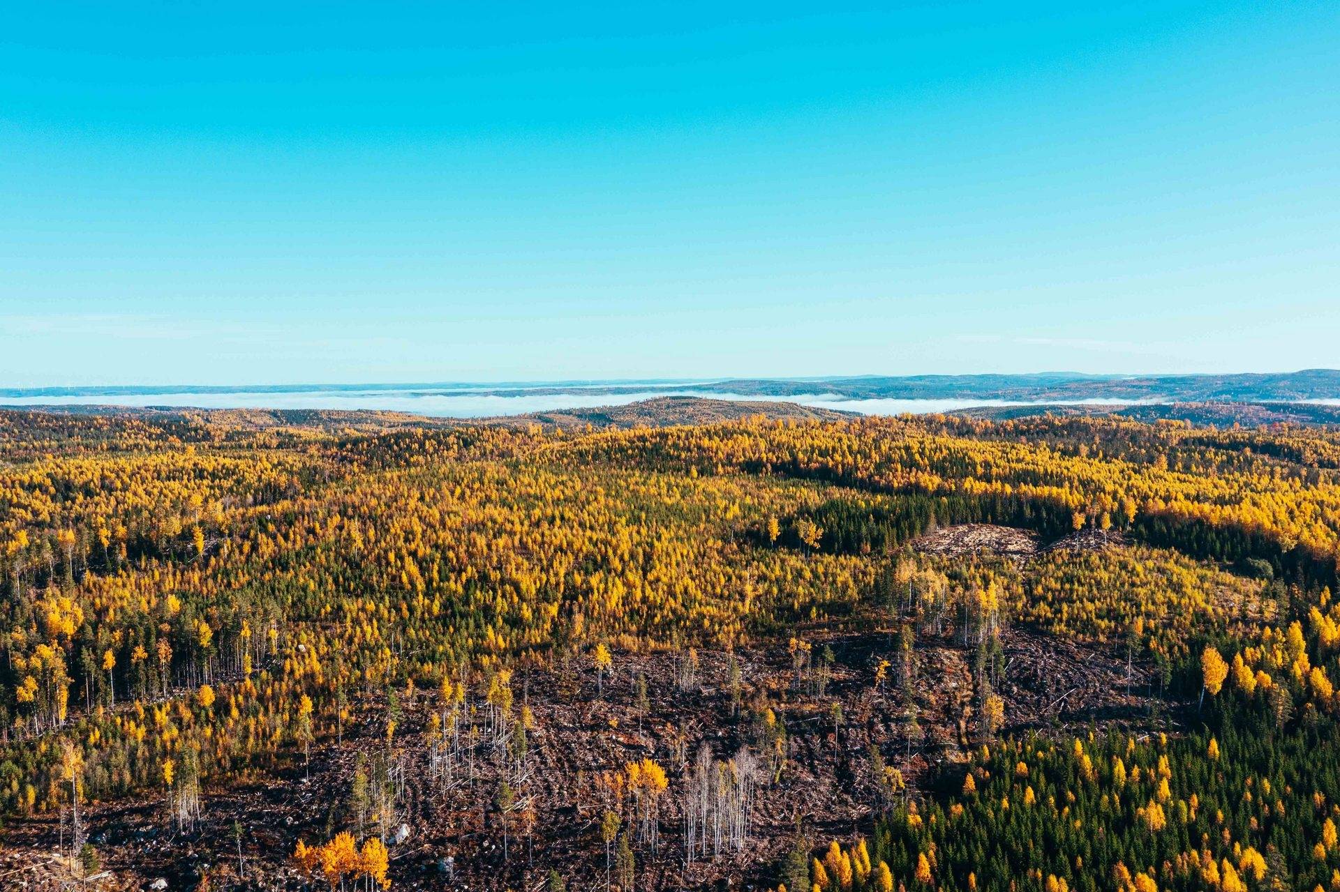 Gård med skogsbruk på ÅNGE BACKEN 4:20 Ånge kommun - bild 12