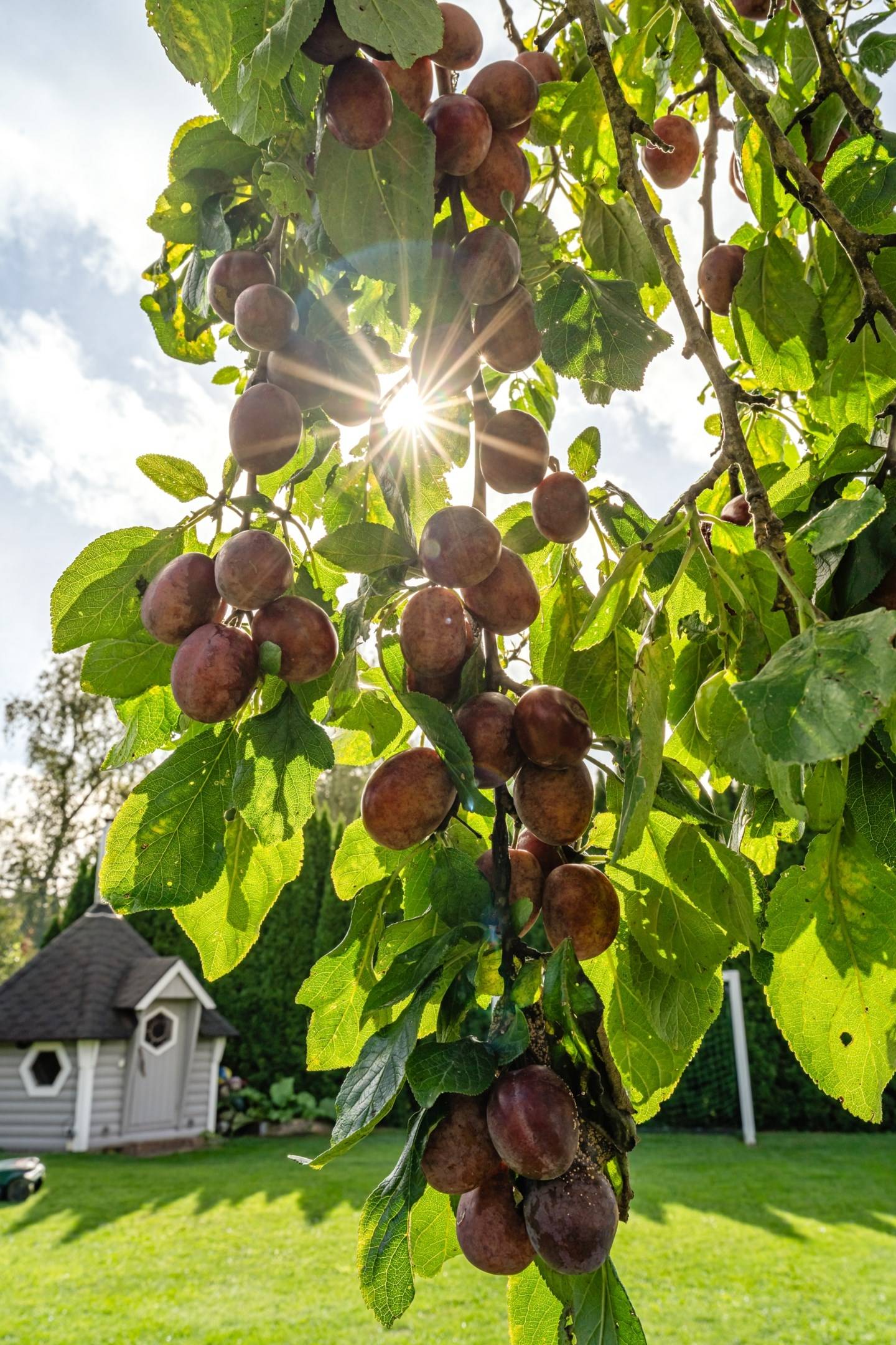 7 rum Villa på JÄRNVÄGSALLÉN 4 VIGGBYHOLM Täby kommun - bild 34