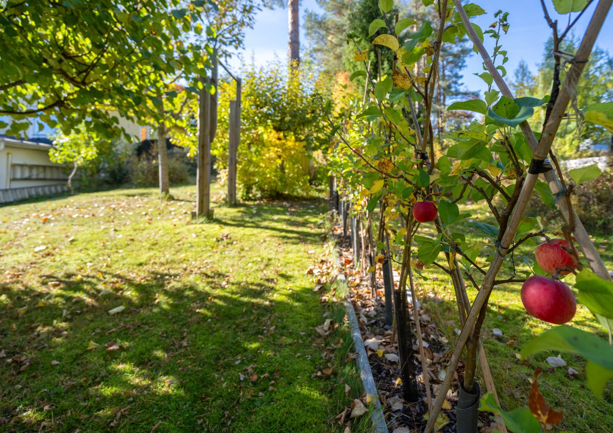 5 rum Villa på Skogsvägen 11 Järbo Sandvikens kommun - bild 51