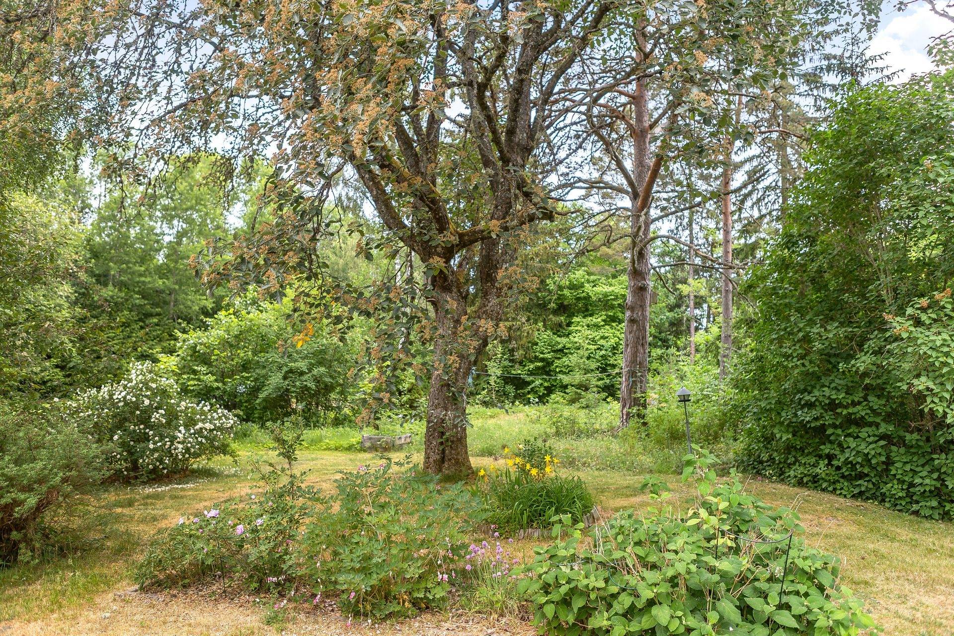 2 rum Fritidshus på Ledsundet 146 Östhammar Östhammars kommun - bild 13