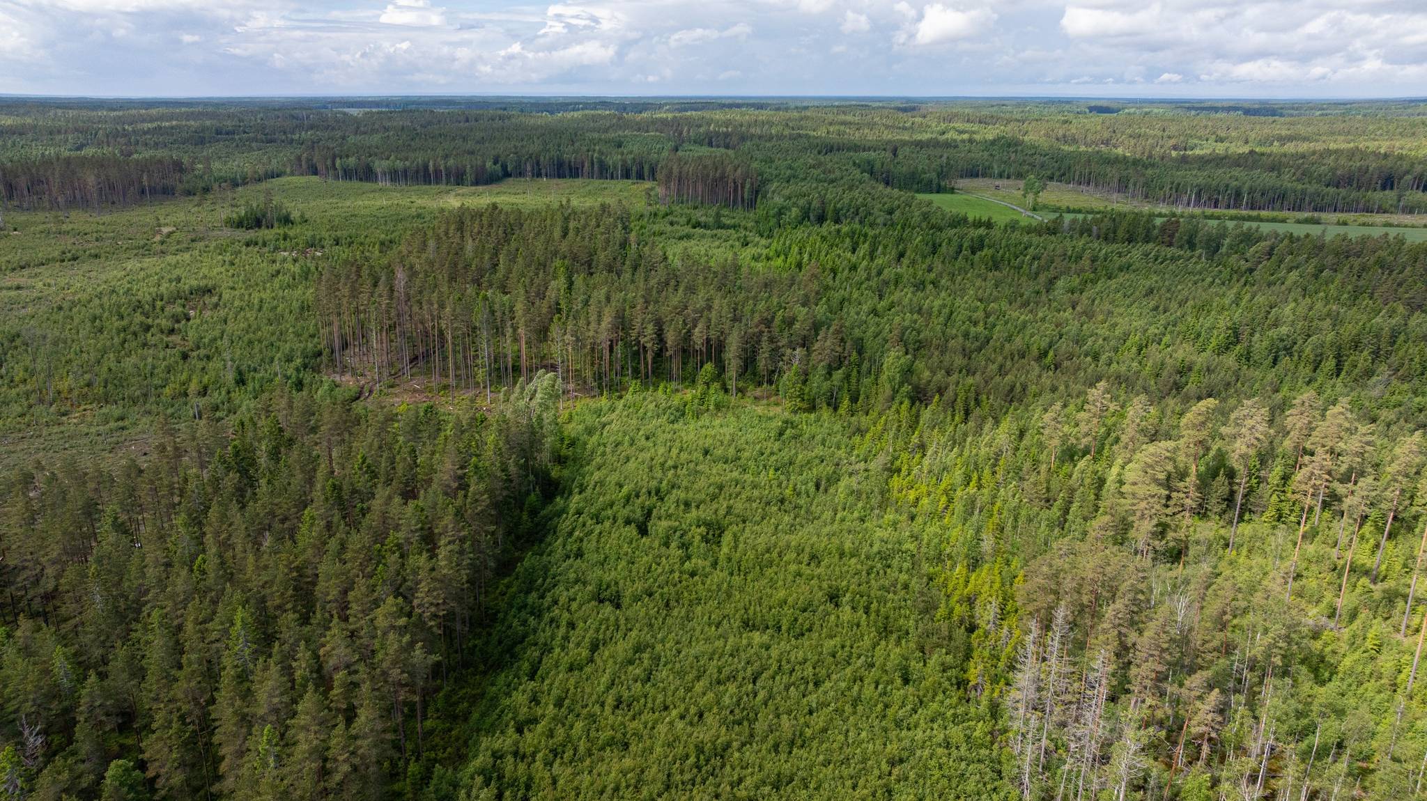 Gård/skog på Skog i Torserud Säffle kommun - bild 5