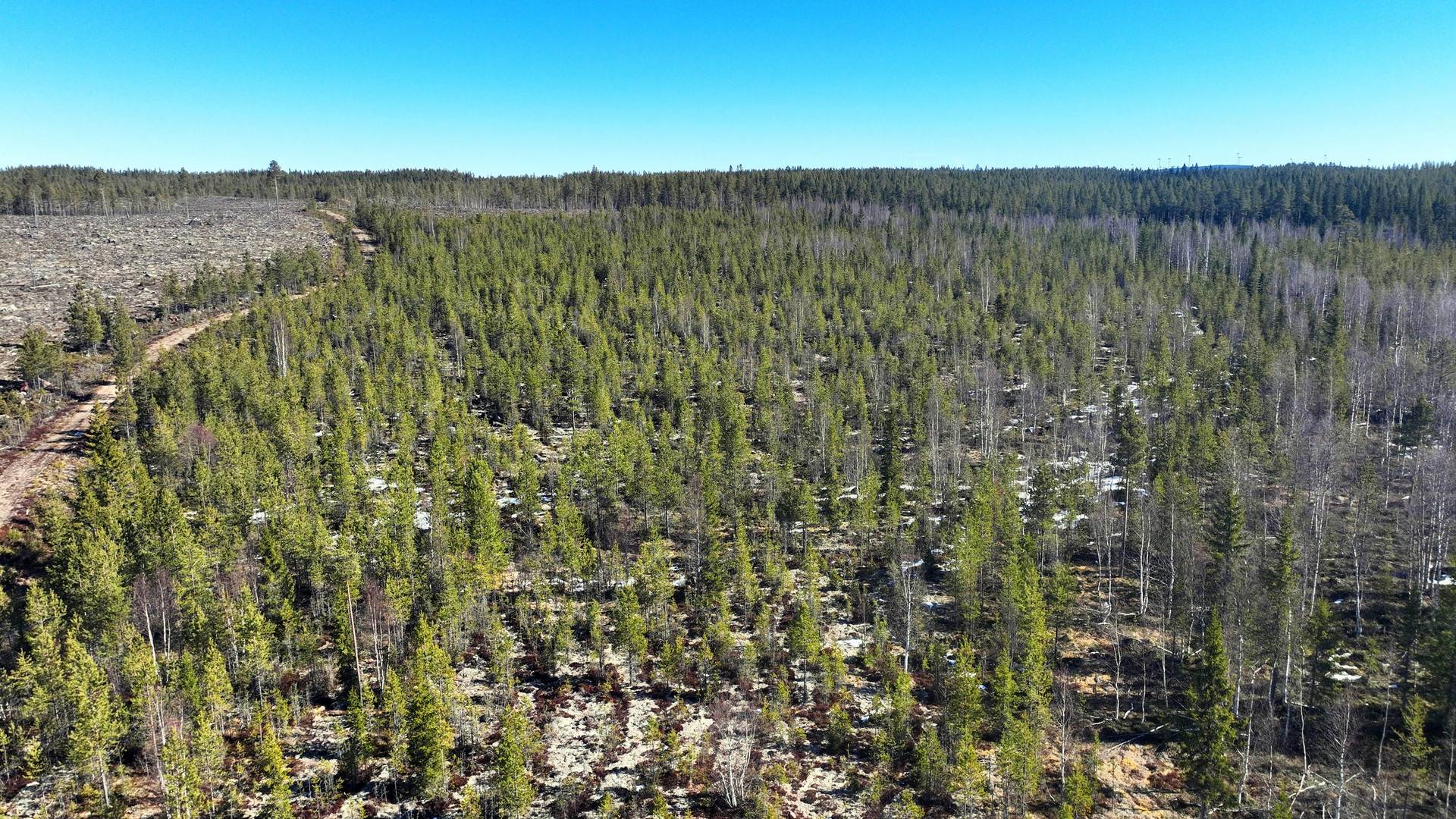 Gård med skogsbruk på ORRMO Härjedalens kommun - bild 3