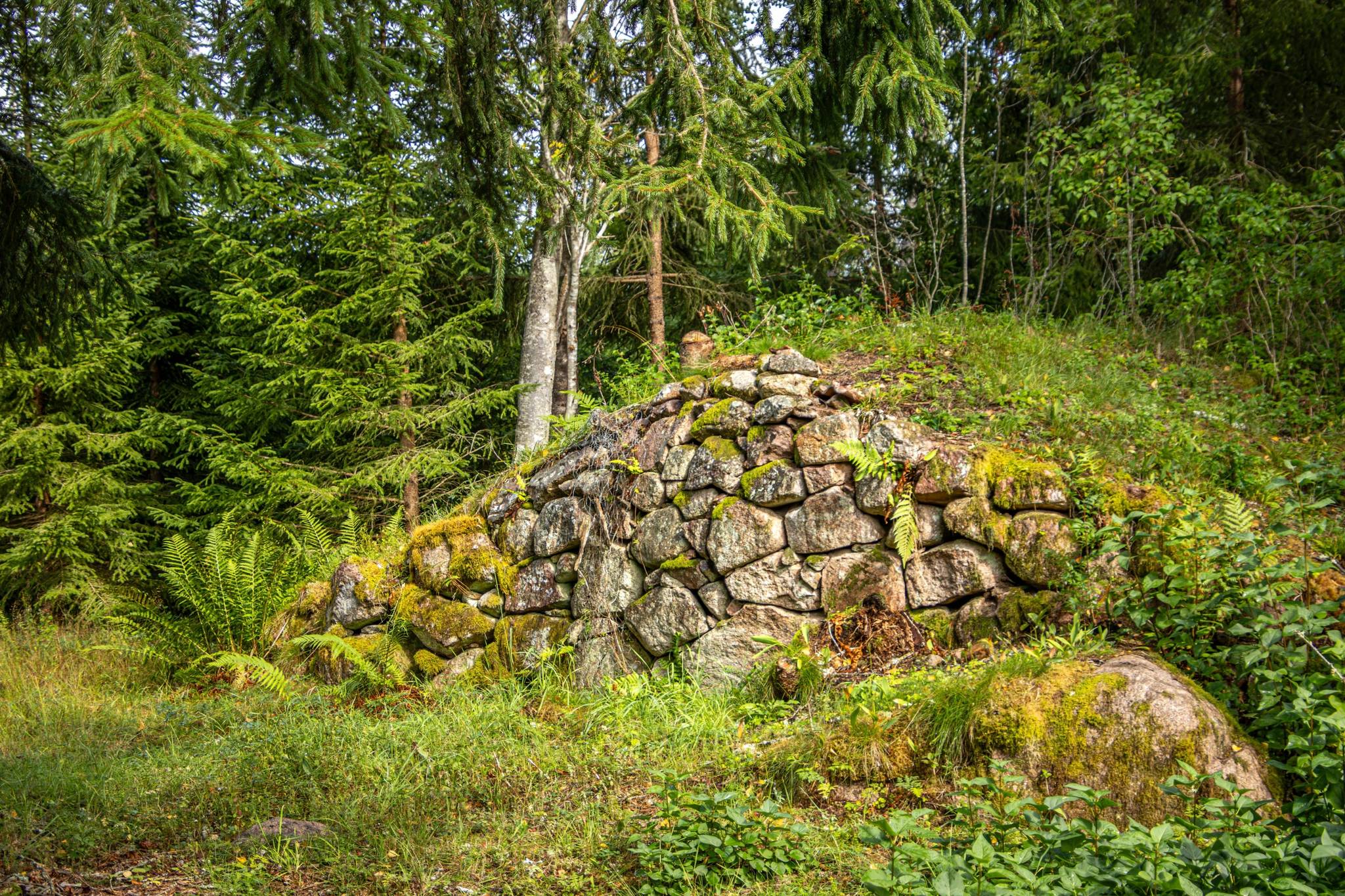 3 rum Gård med jordbruk på Fagerhult LYCKANS HÖJD Lessebo kommun - bild 88