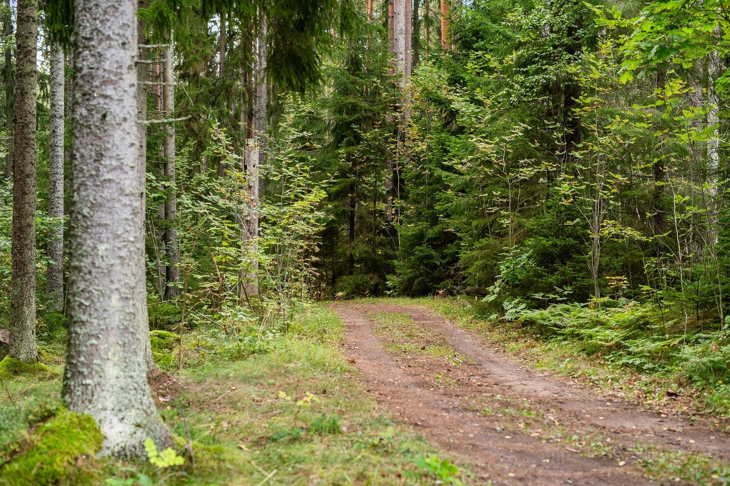 3 rum Villa på Bredmossen 1 Mjölby kommun - bild 28