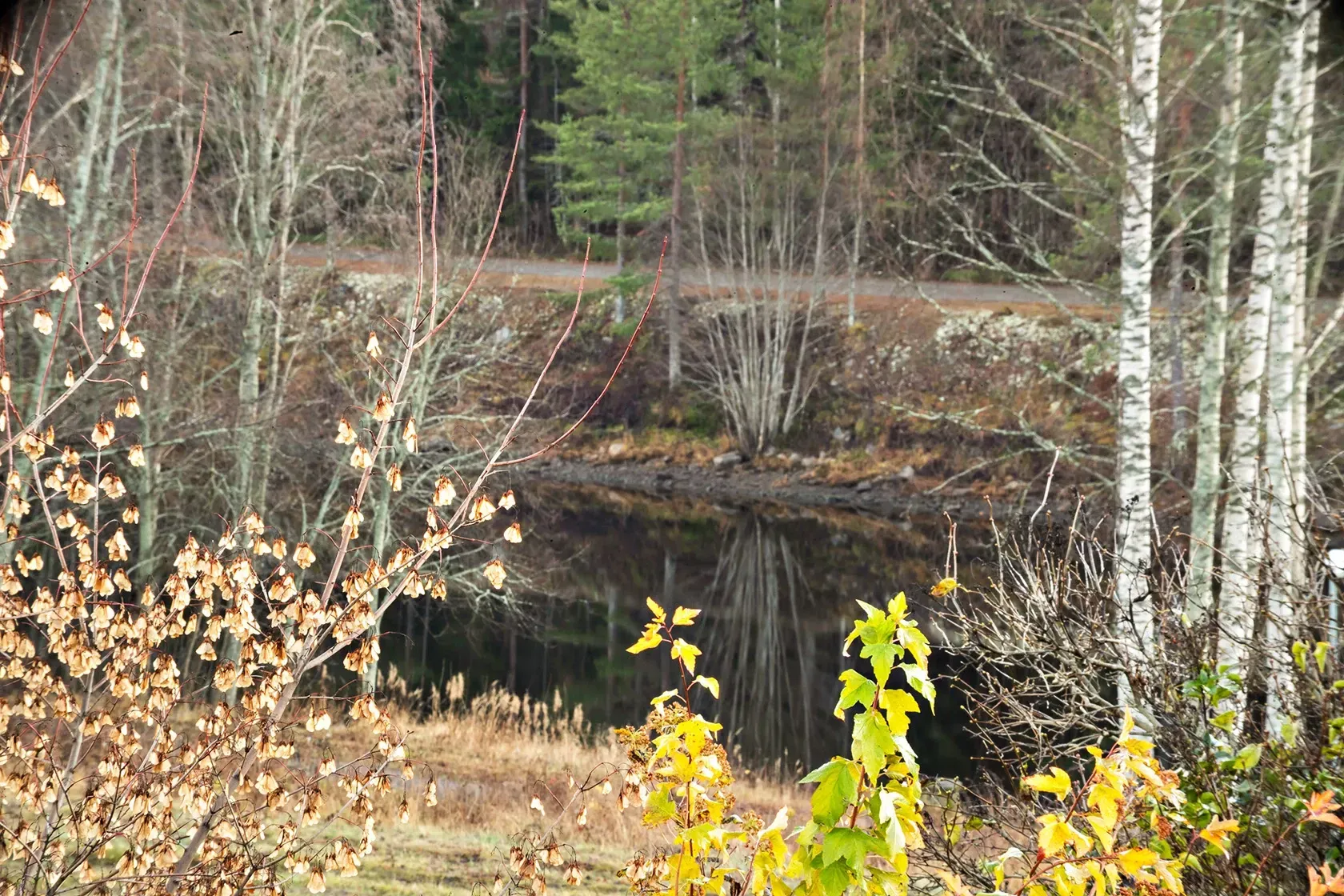7 rum Villa på Långgatan 25 Medlefors Skellefteå kommun - bild 3