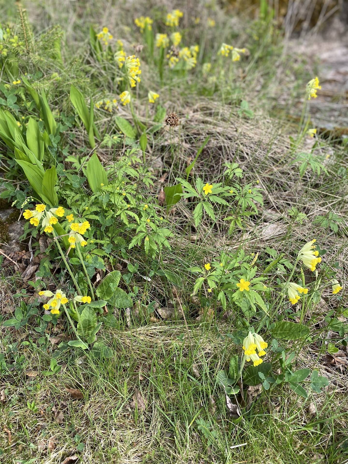 4 rum Villa på Simtuna-Bärby torp 8 Simtuna Enköpings kommun - bild 40