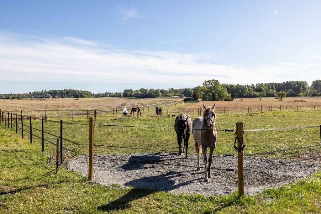 6 rum Gård utan jordbruk på Tillinge-Tibble 22 Enköpings kommun - bild 13
