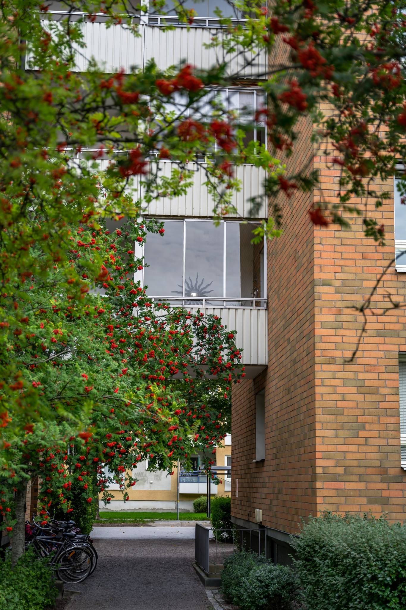 4 rum Lägenhet på Verkmästargatan 5B Salabacke Uppsala kommun - bild 31
