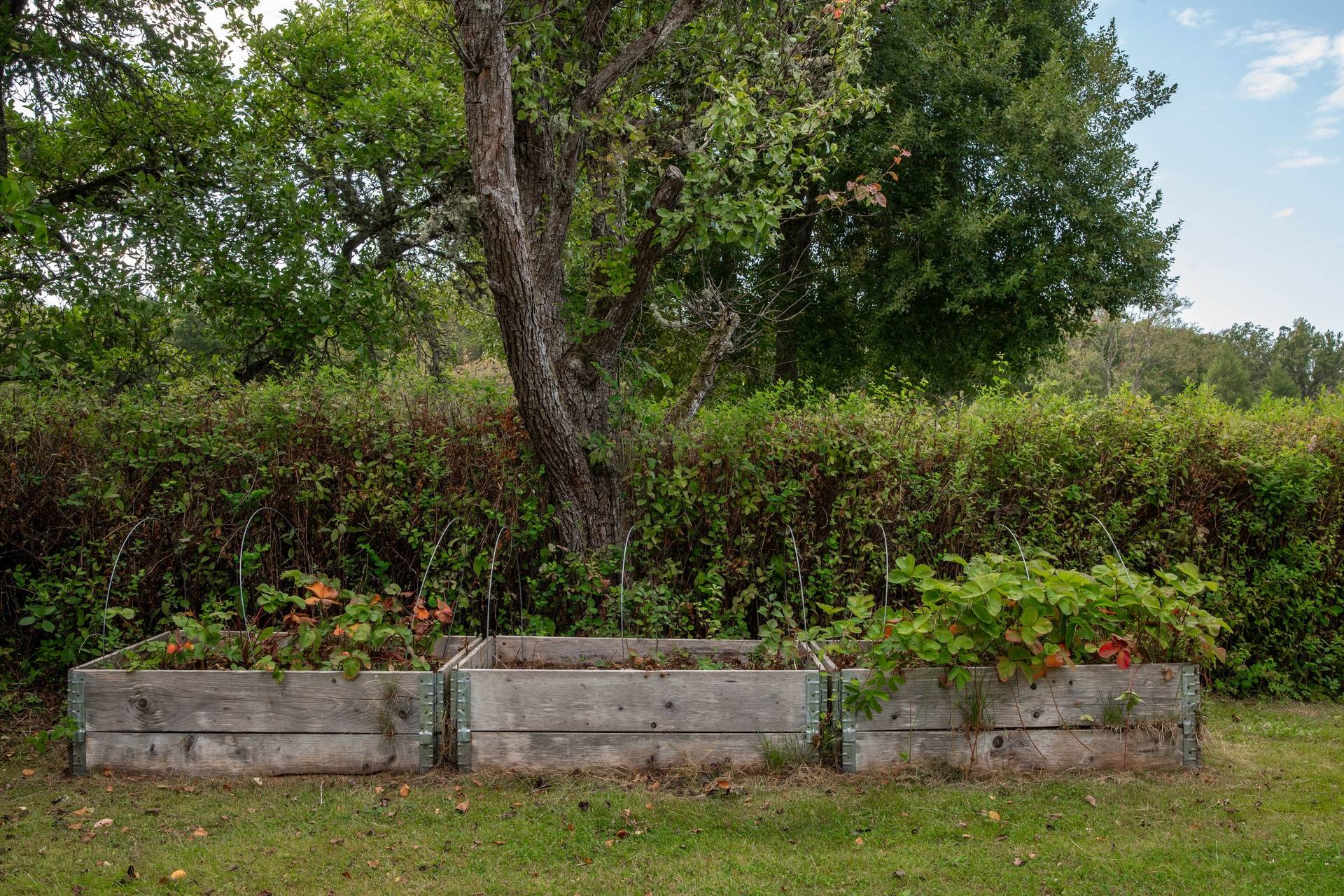 5 rum Villa på Bunnström 7 Bunnström Jönköpings kommun - bild 43