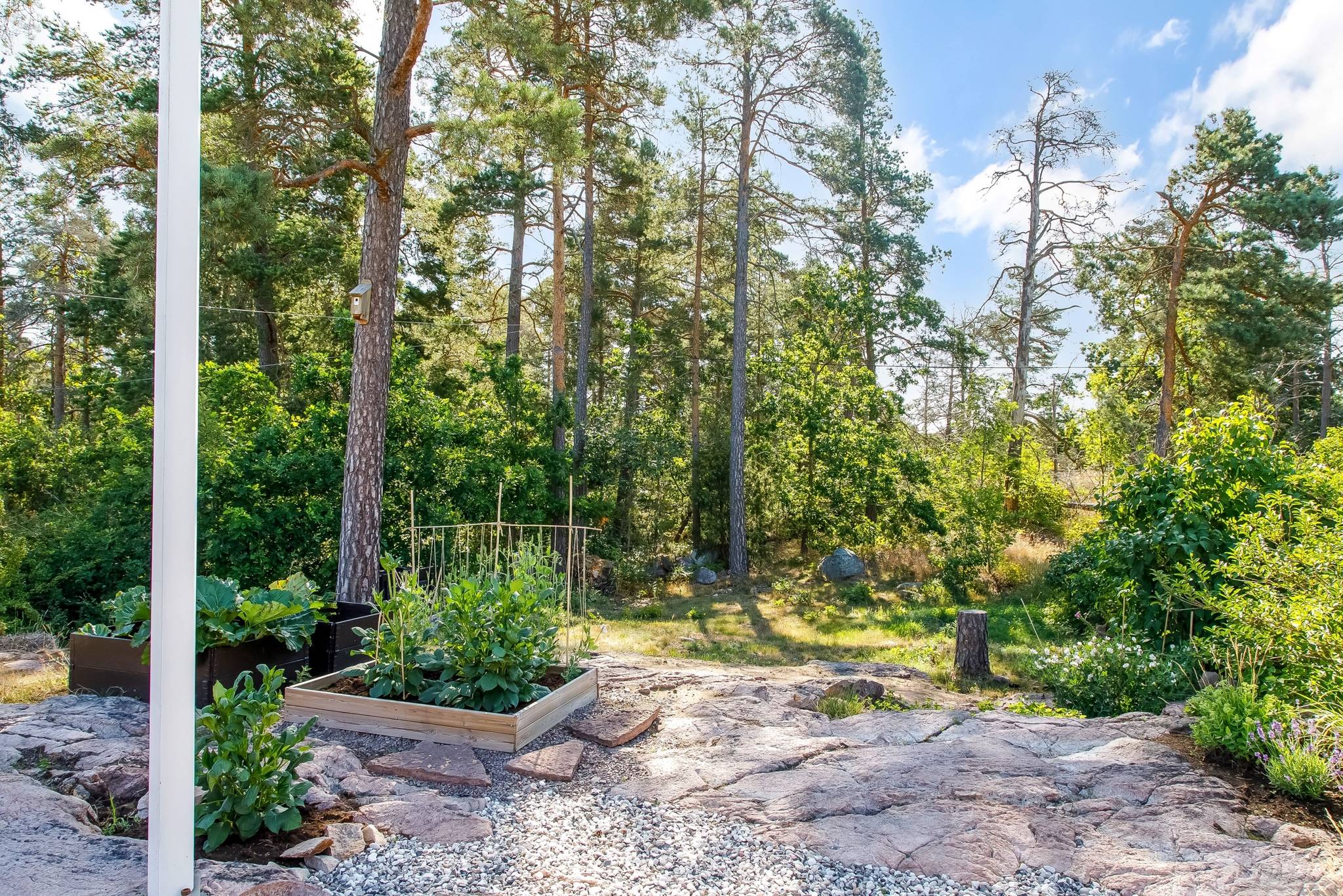 3 rum Villa på Ekåsavägen 11 Åsa Oskarshamns kommun - bild 28