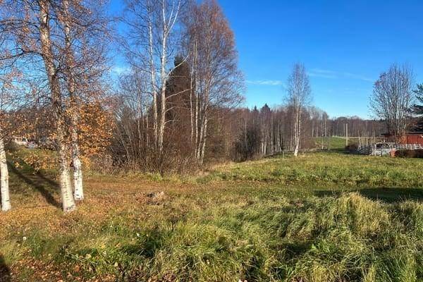 Mora, Mora kommun