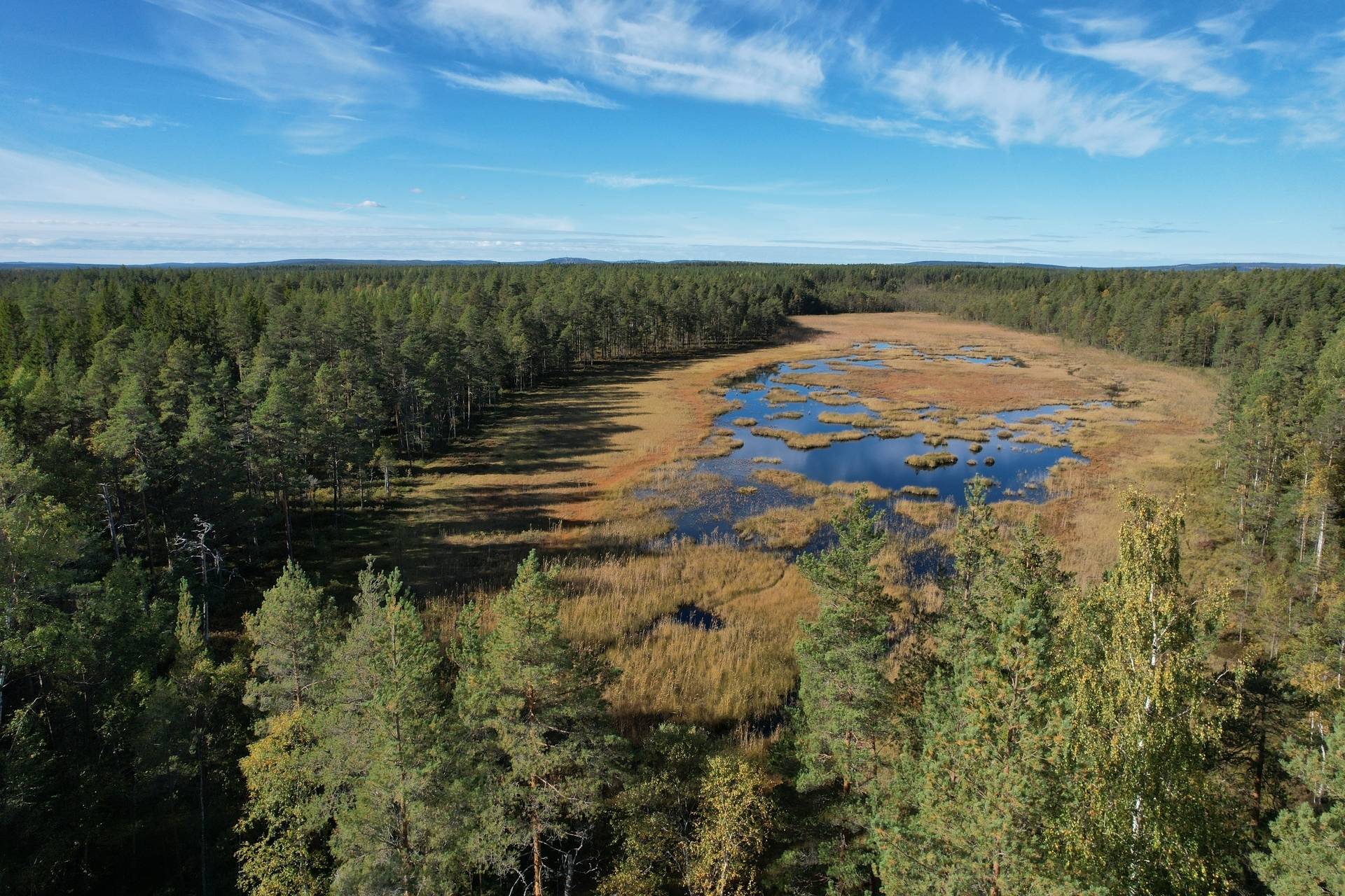 Gård med skogsbruk på Landtjärn Sandvikens kommun - bild 16