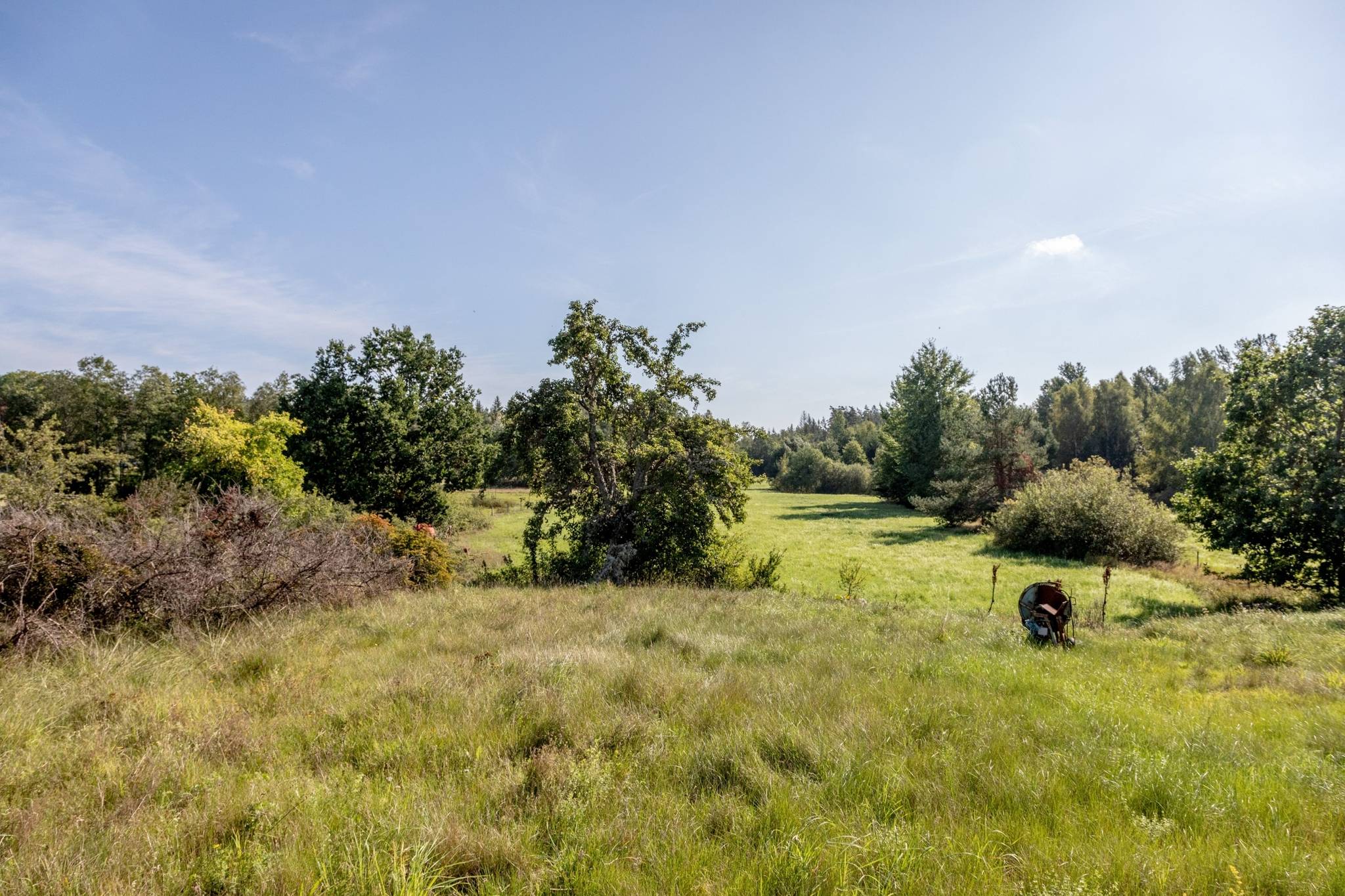 5 rum Gård/skog på Hagevägen 14 Fliseryd Mönsterås kommun - bild 61